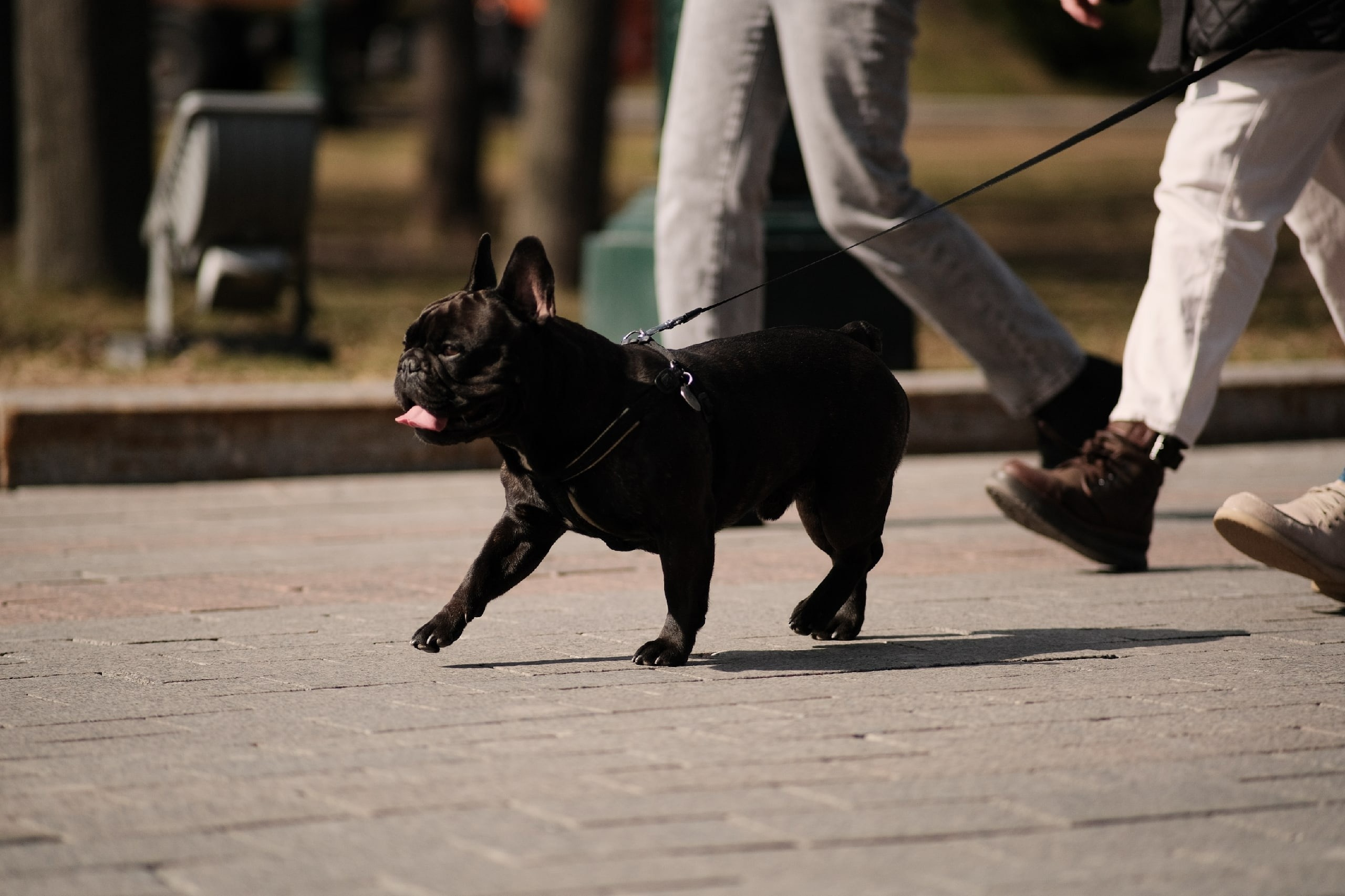 街头摄影. 主页