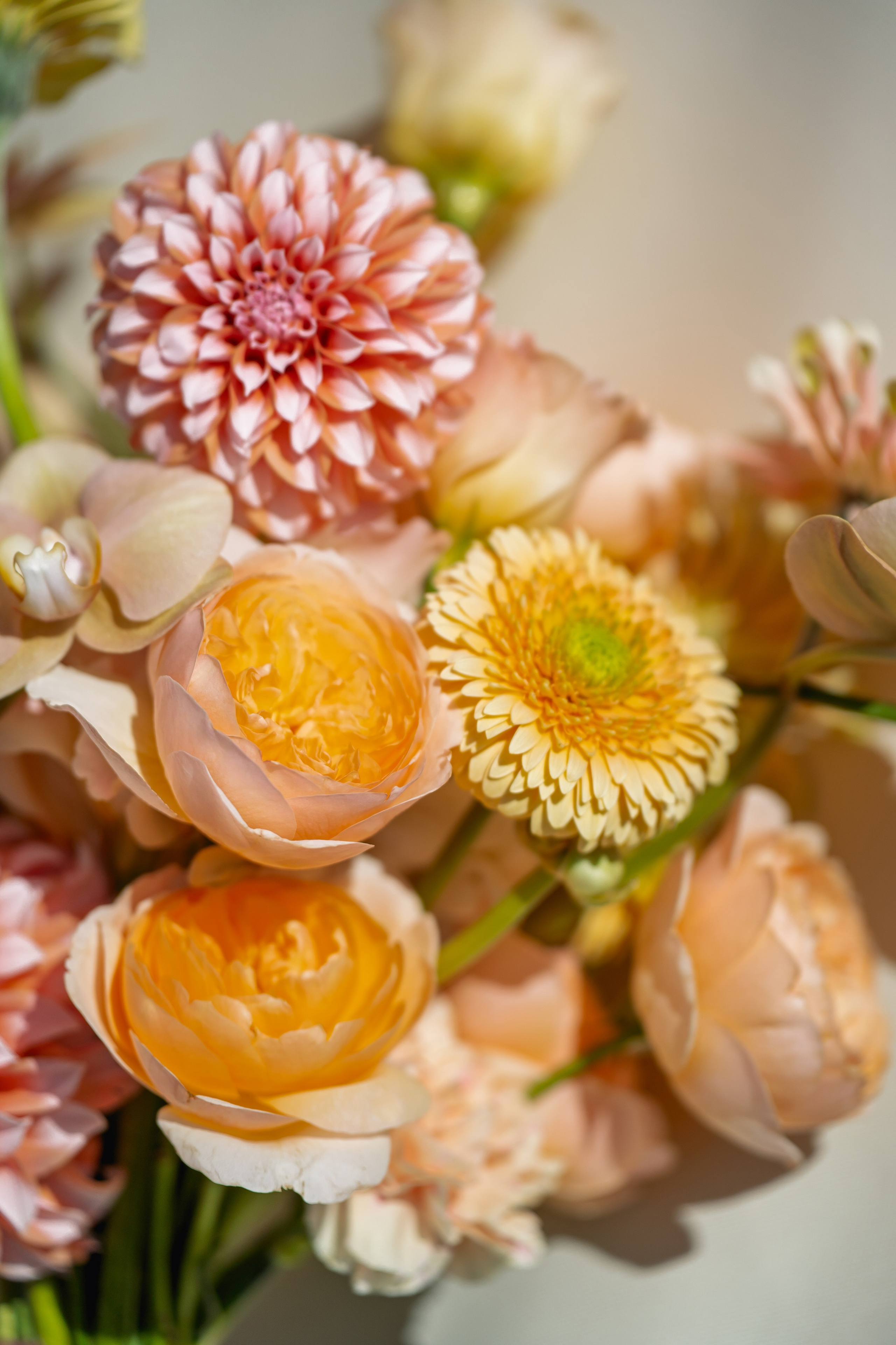 Сергей и Александра (Геленджик Гольф-Резорт). Карпенко Марина свадебный и семейный фотограф Анапа, Краснодар, Геленджик, Сочи, Темрюк