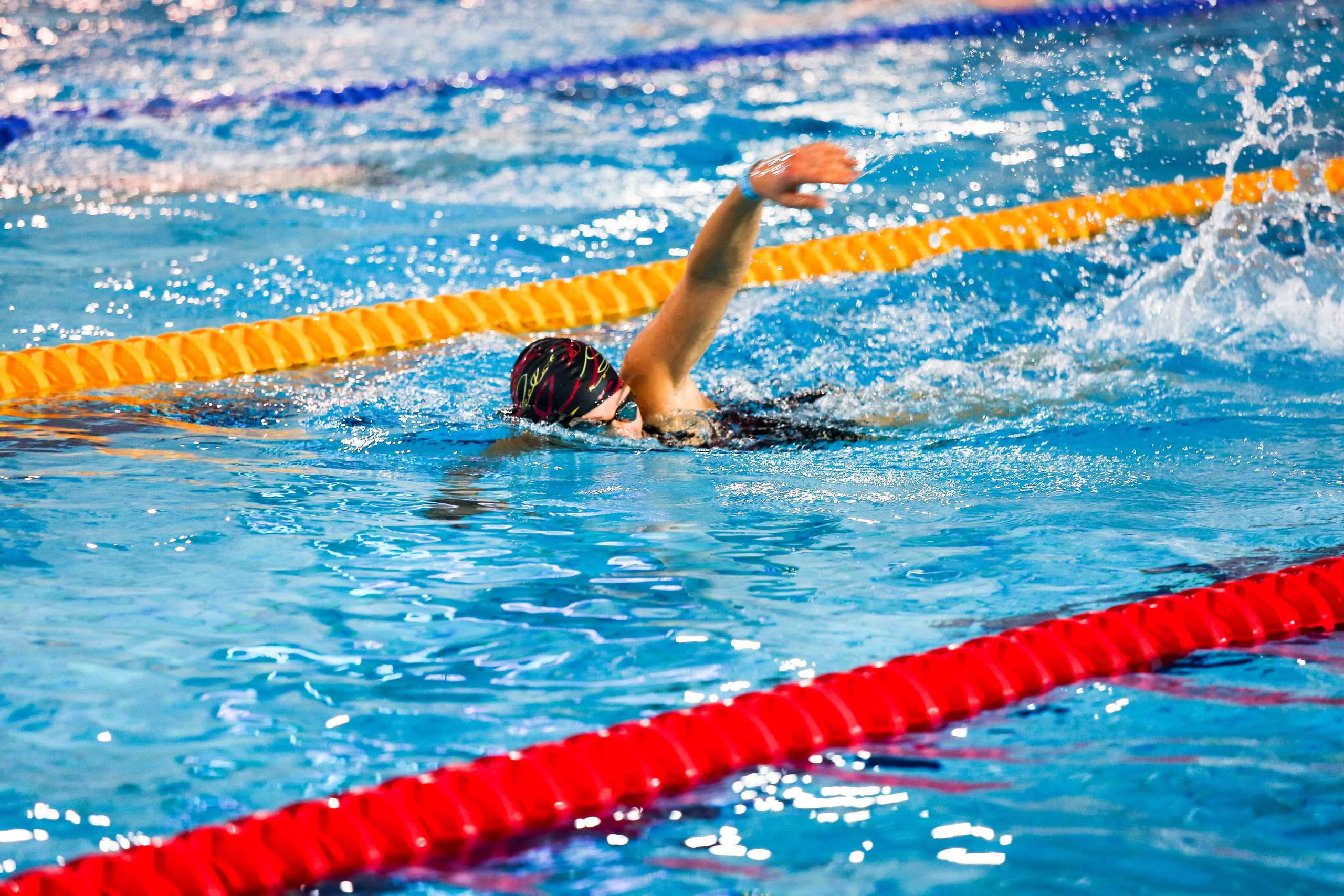 Соревнования по плаванию. Репортажный, семейный, свадебный, портретный фотограф