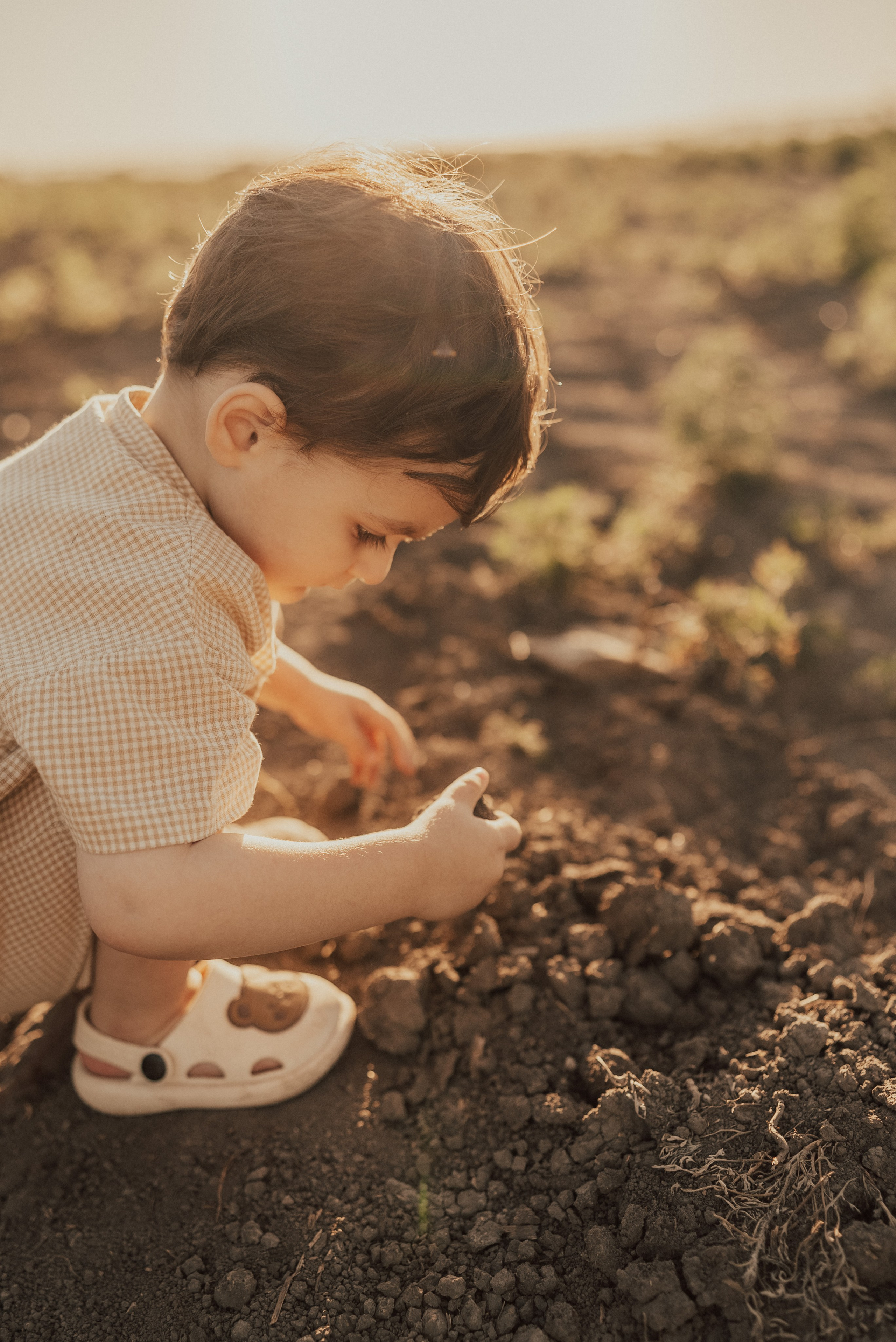Лето. Подсолнухи. Семейный фотограф и видеограф Алёна Ким