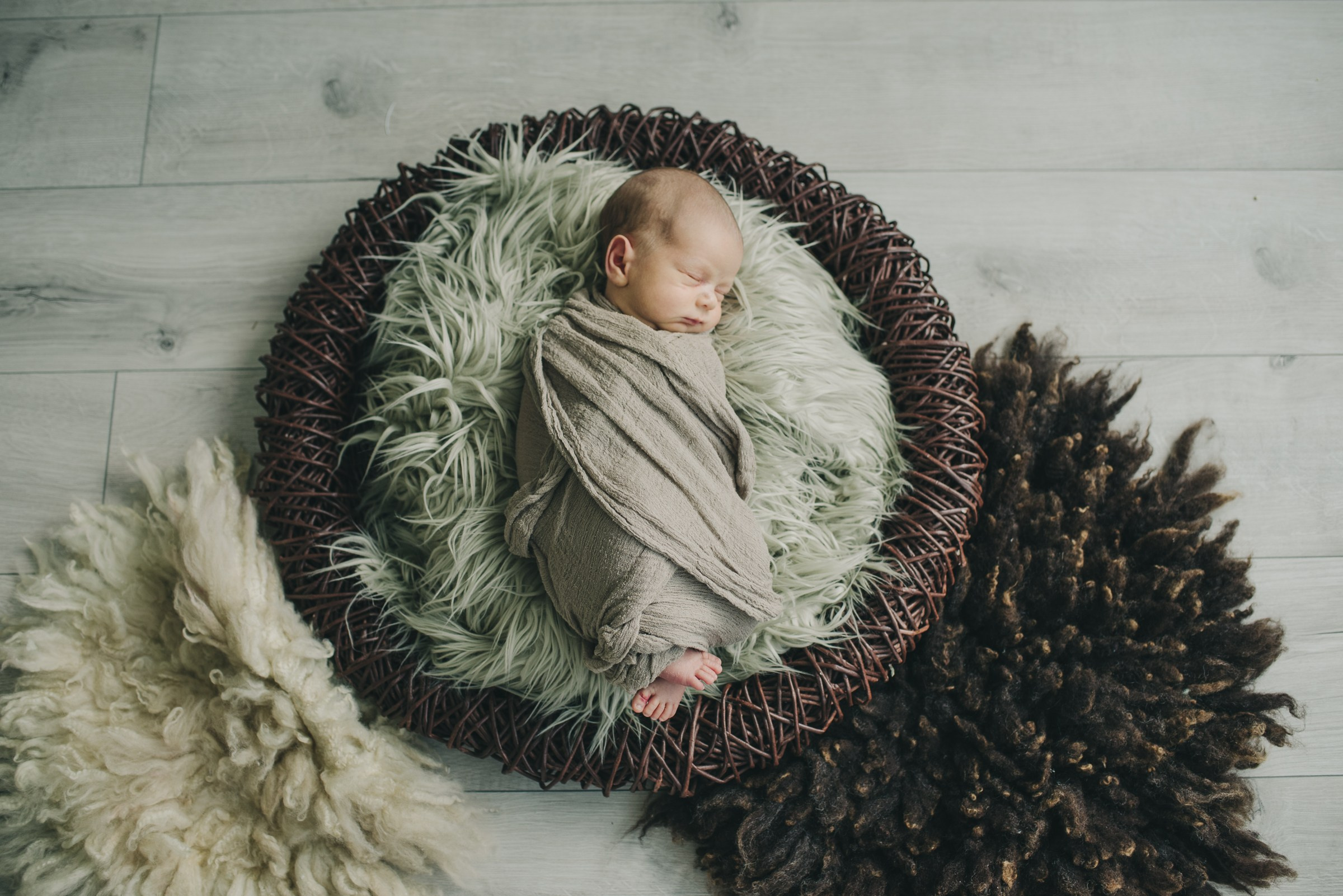 Лев. Фотограф в Москве новорожденные свадьбы семьи Дарья Ларионова