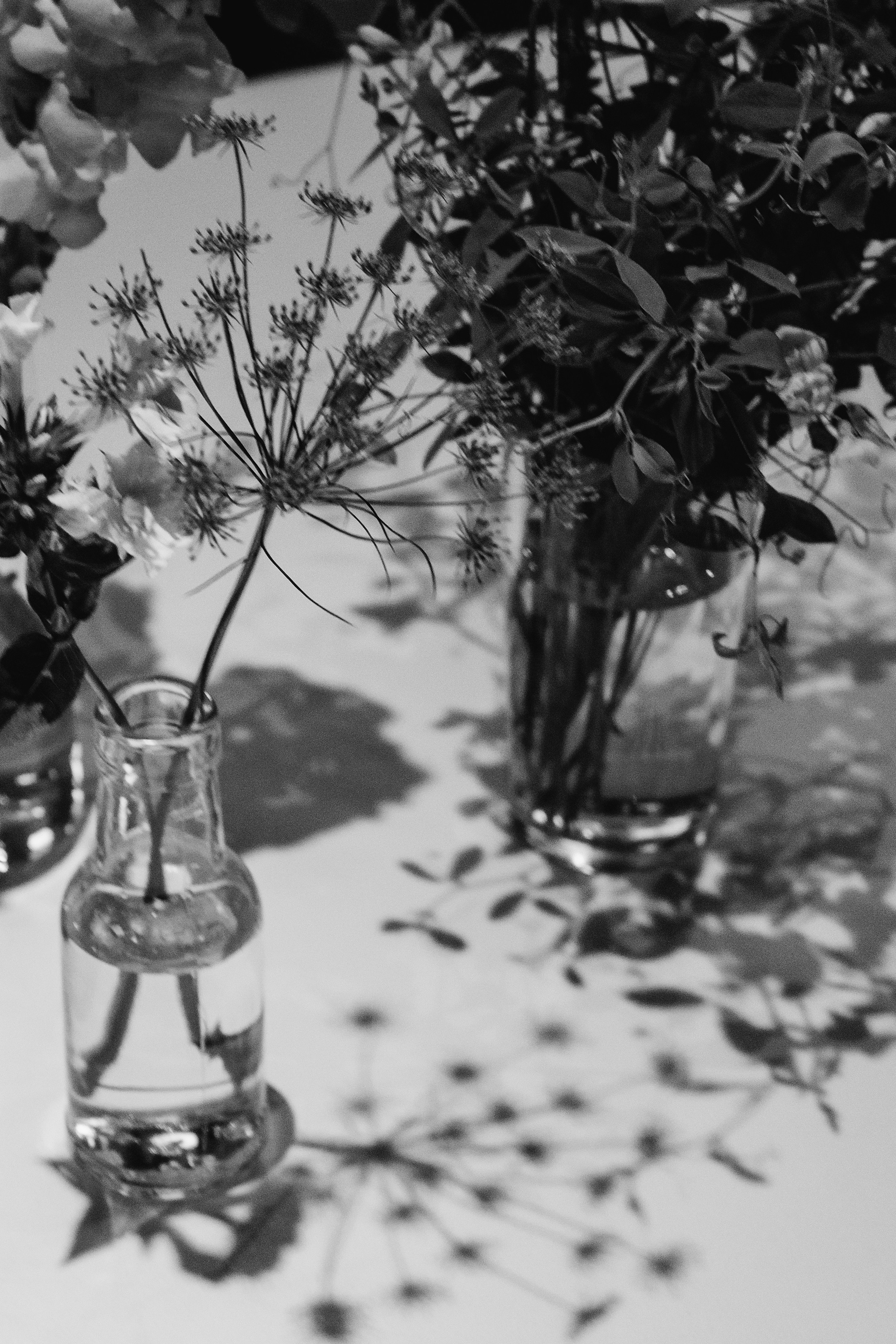 ANONS. Мария — Свадебный фотограф