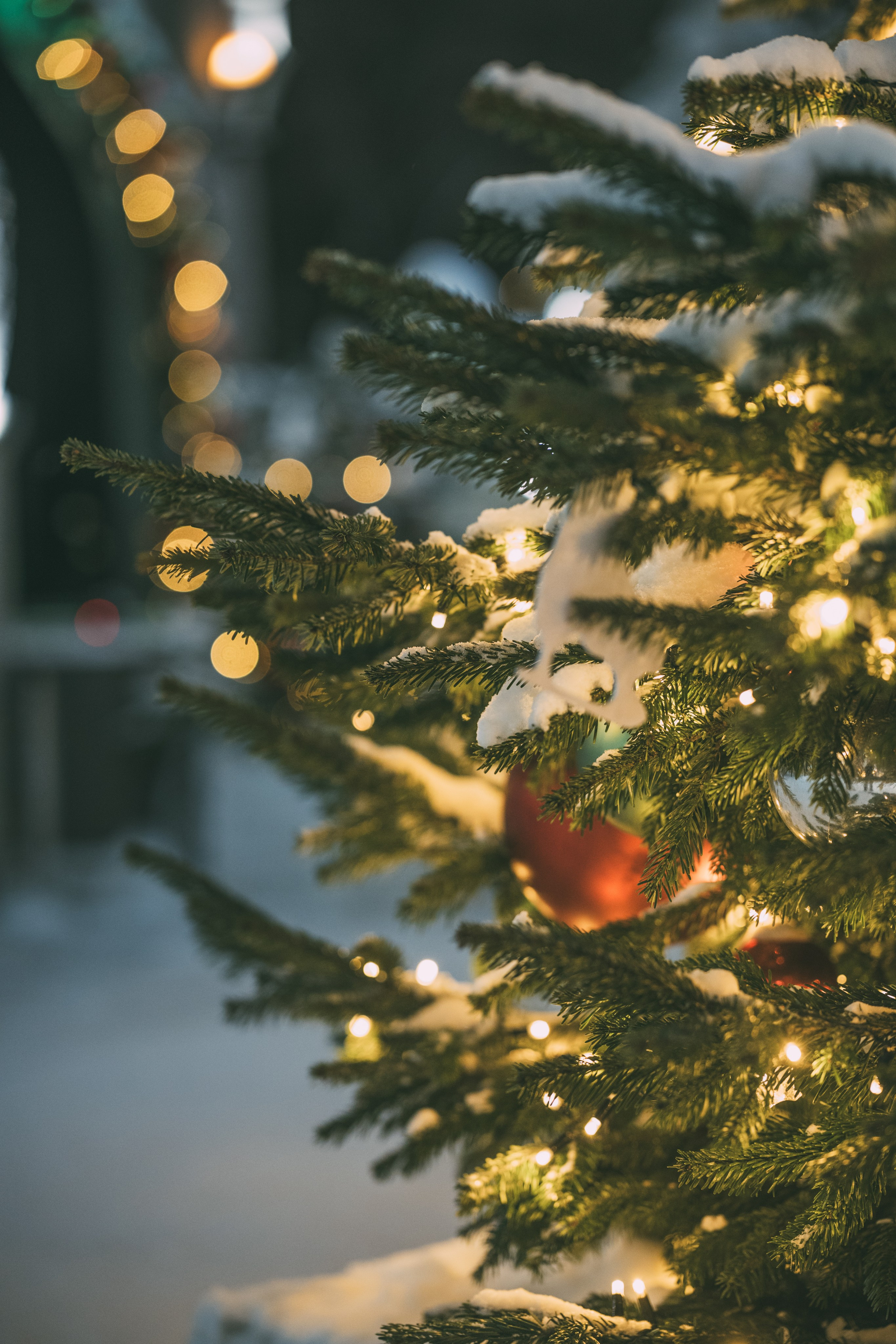 Новогодние каникулы. Фотограф Ирина Панина