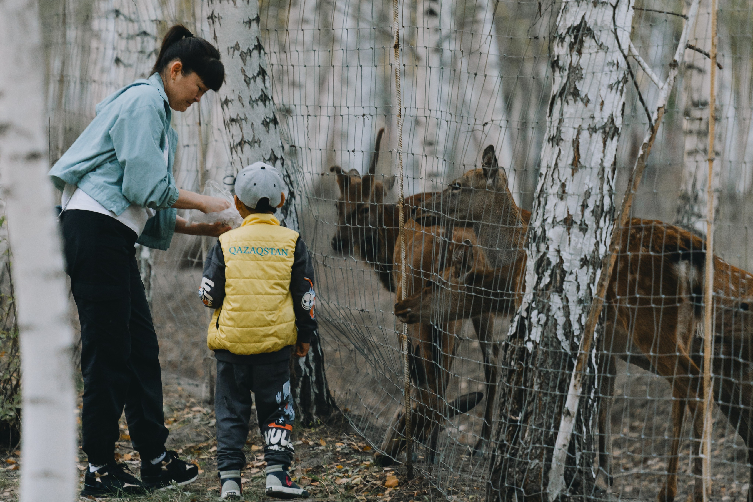 Усть-Каменогорск, Сентябрь 2024