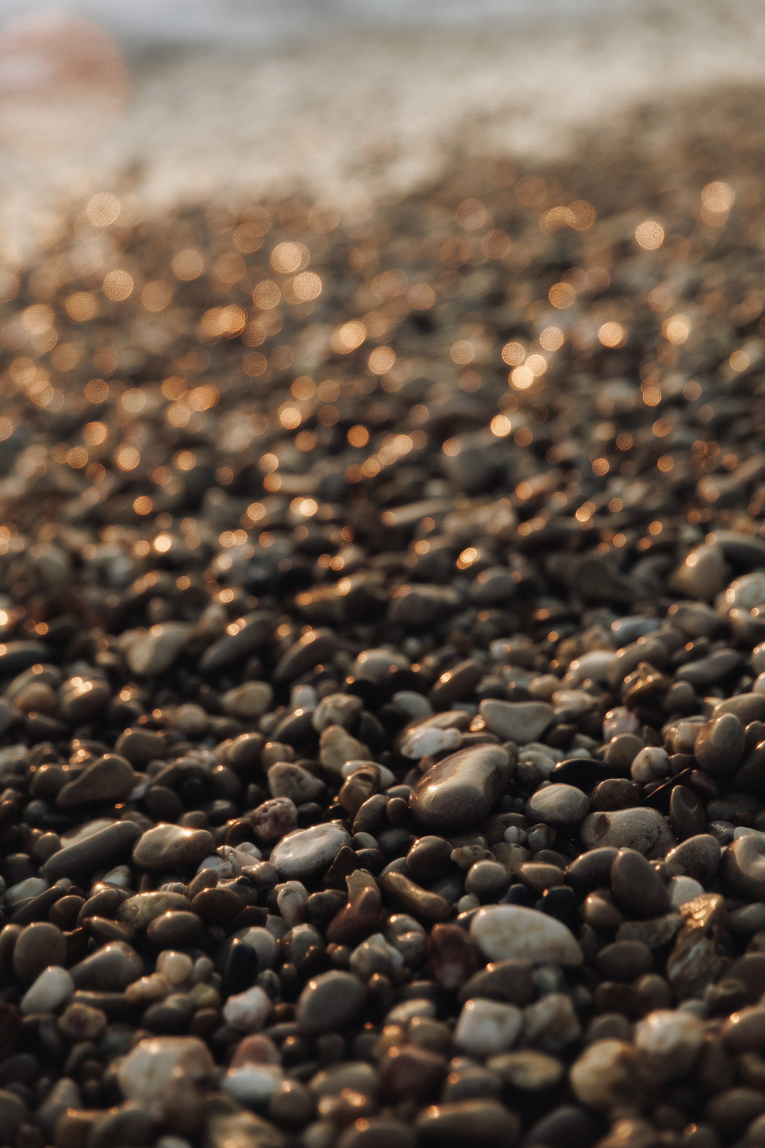 Masha | Family. Свадебный фотограф в Севастополе и Крыму| Tanya Sher