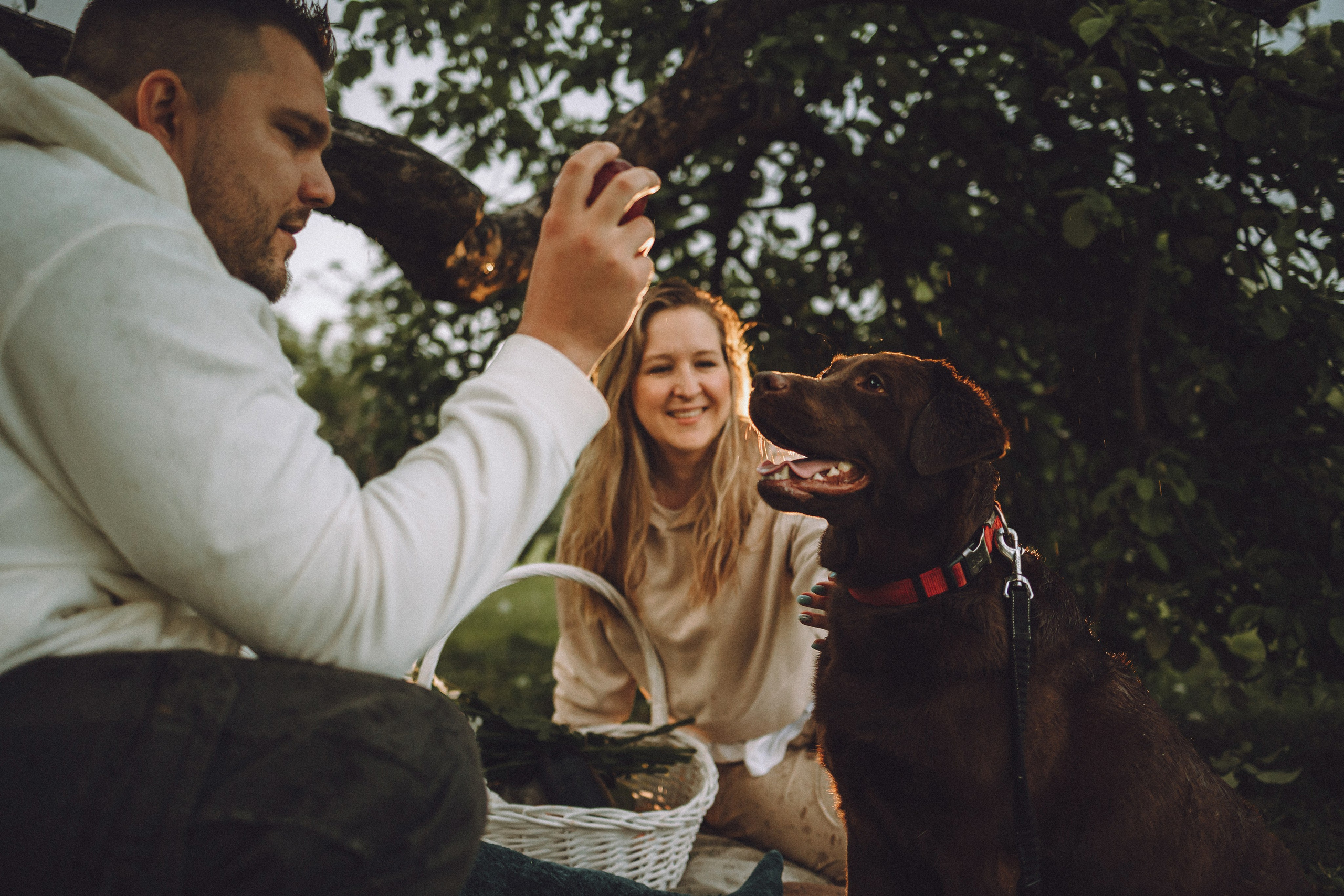 Катя, Ваня и Джеси