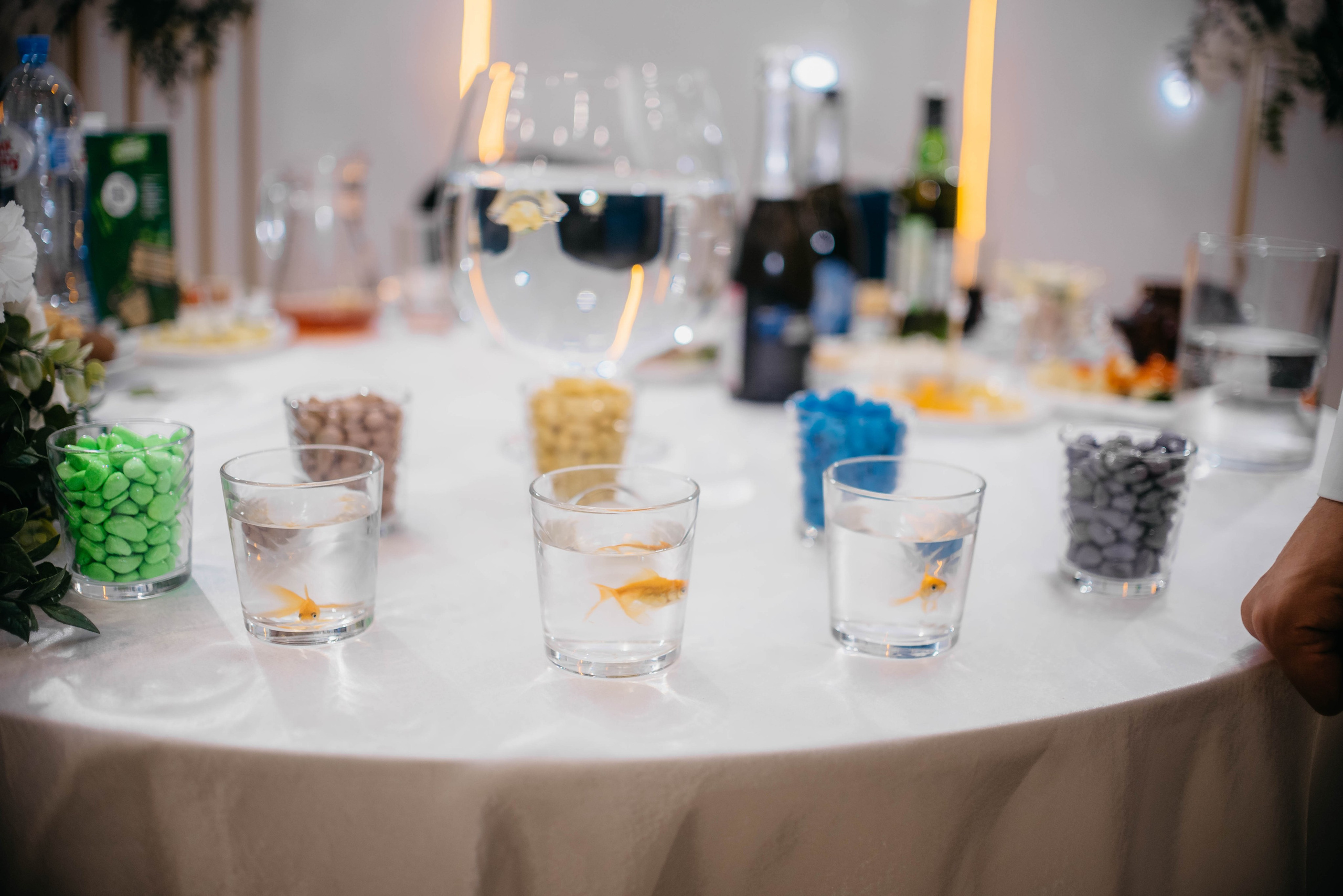 Александр и Людмила. Свадебный организатор координатор Екатеринбург Серов Дарья Окишева