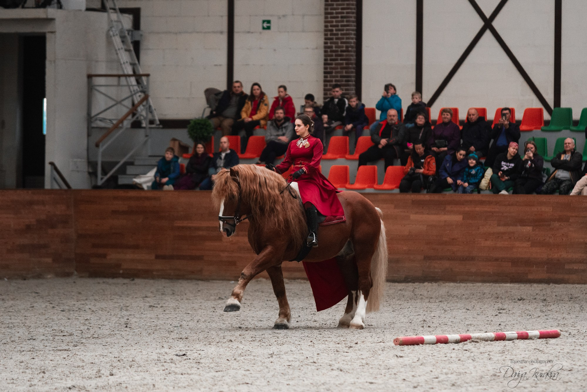 8-я международная выставка Конная Россия. Конный фотограф Куракина Дарья • Фотосессии с лошадьми