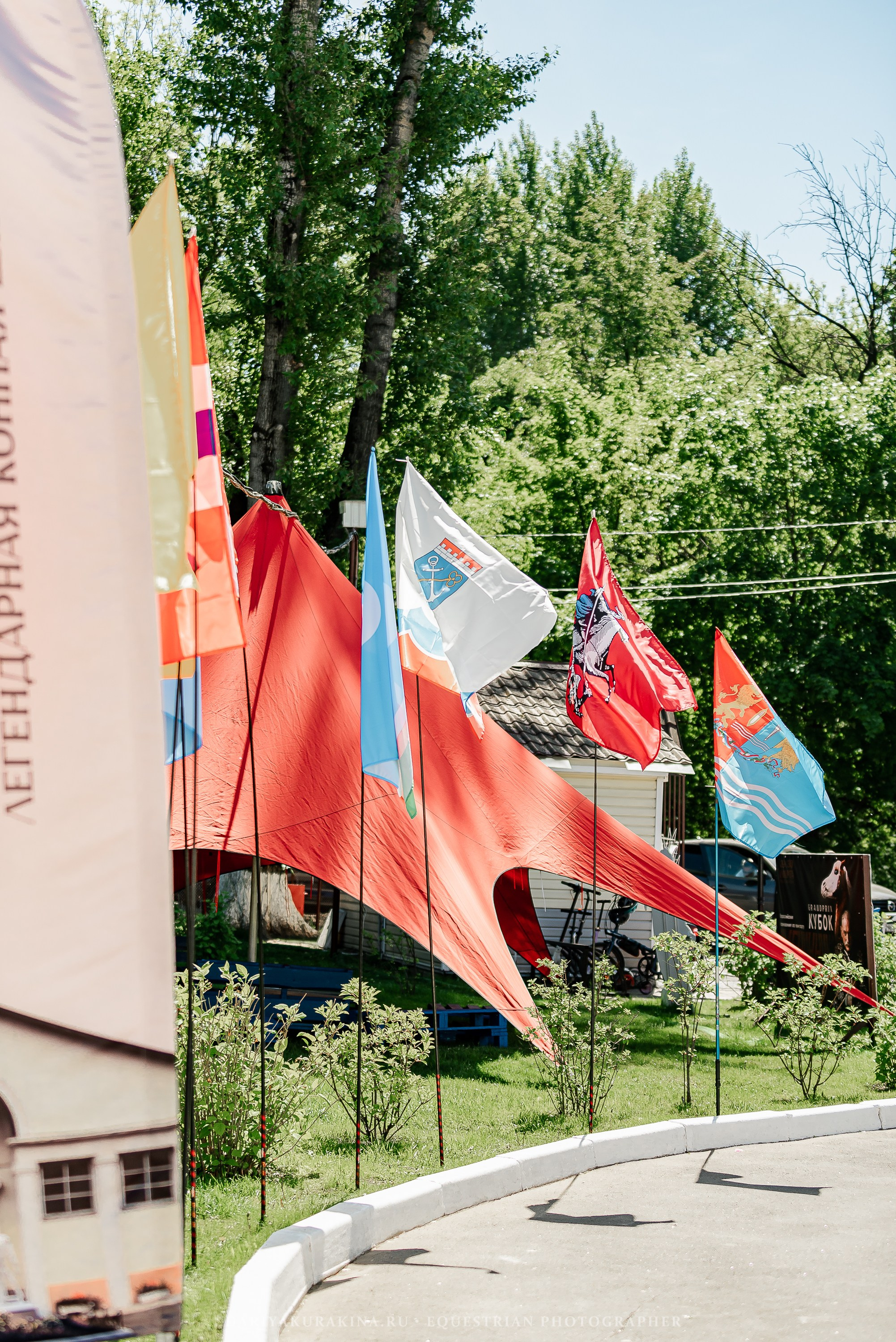 #ПОНИФОРУМ 2024. Конный фотограф Куракина Дарья • Фотосессии с лошадьми