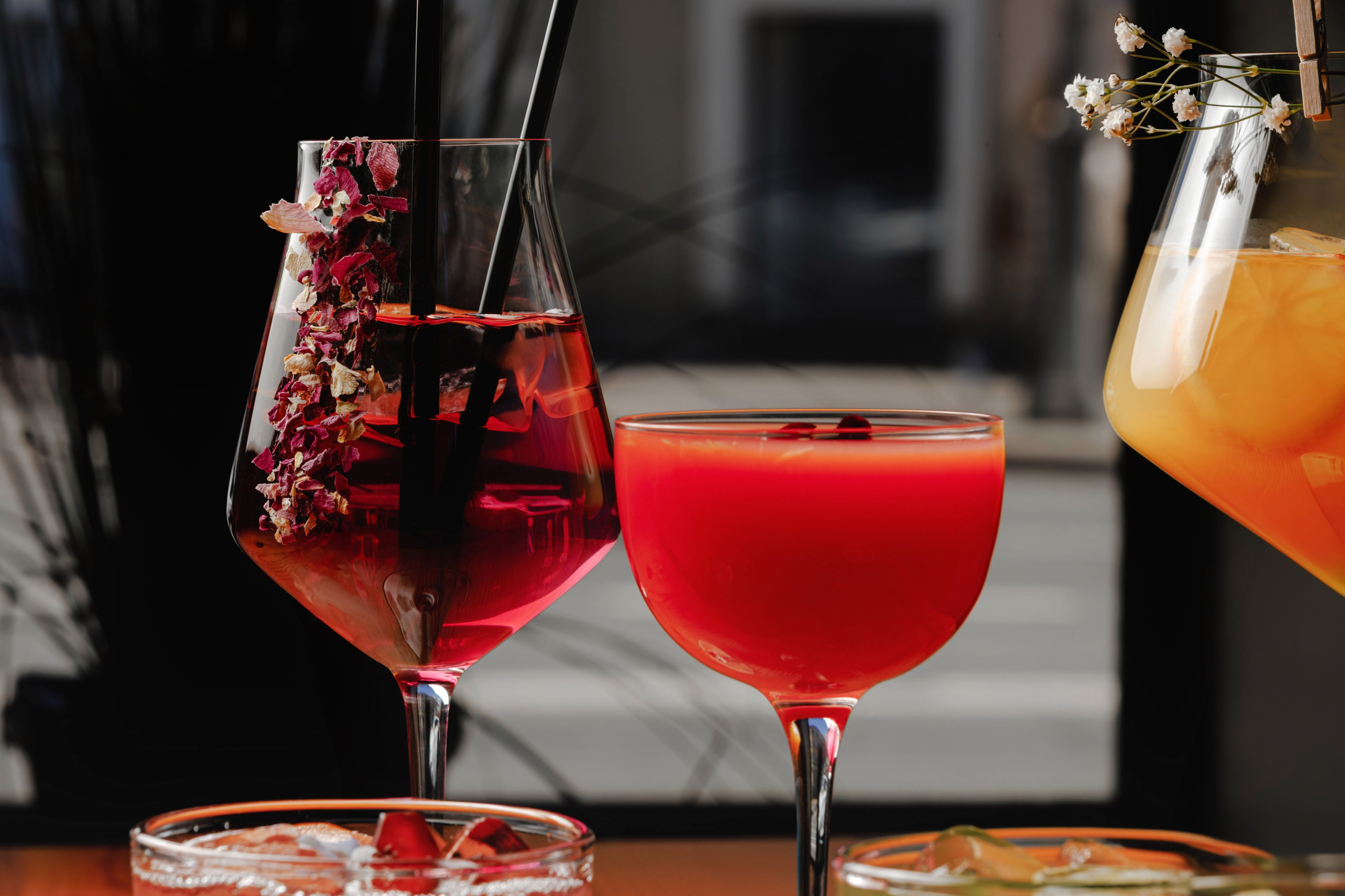 Avenu 55. Репортажный фотограф в Санкт-Петербурге Жолудев Владислав