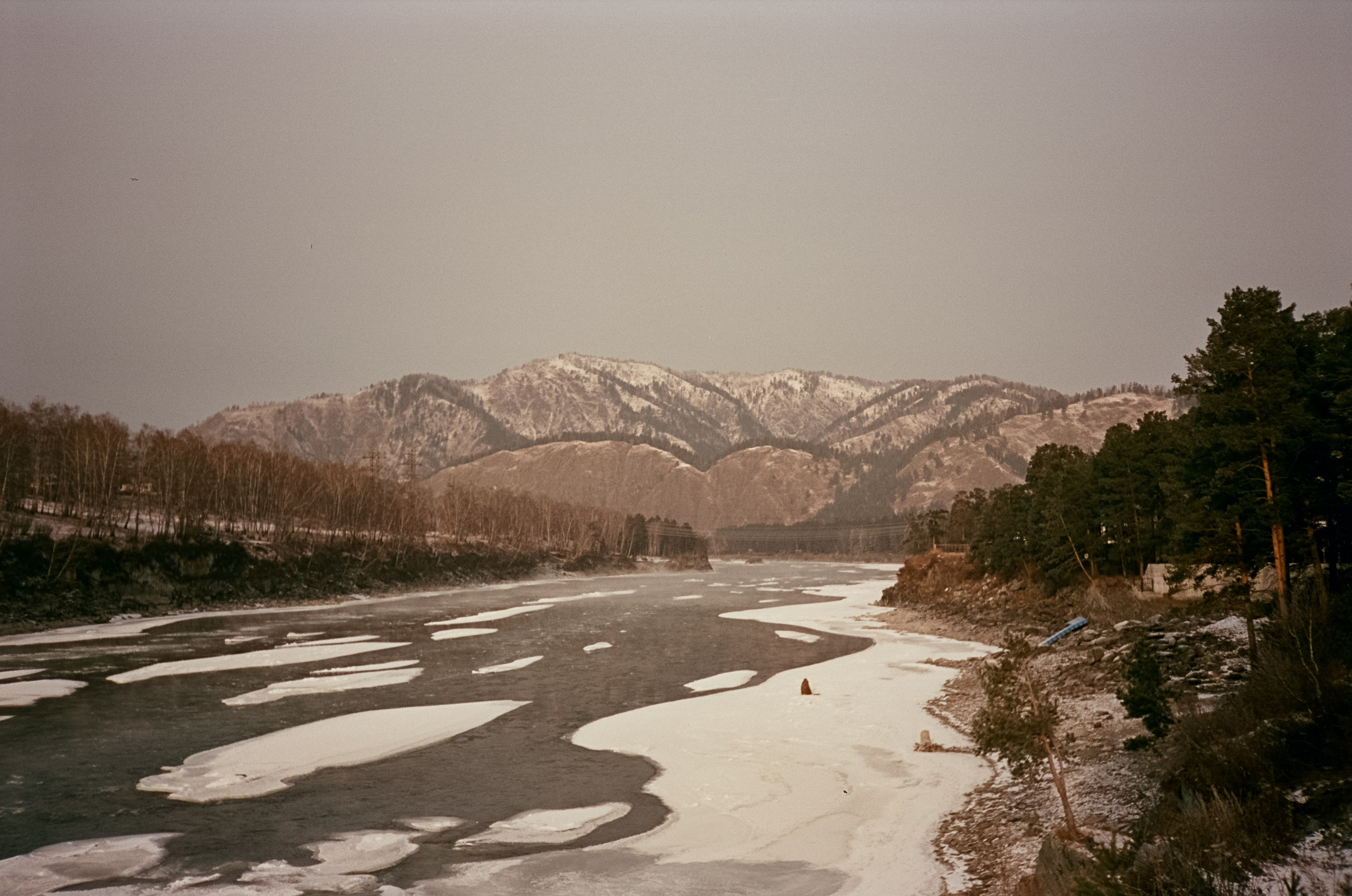 Утро на скалах Зубы Дракона. Чемал: поля и горы на закате. Фотограф-документалист Мария Осокина