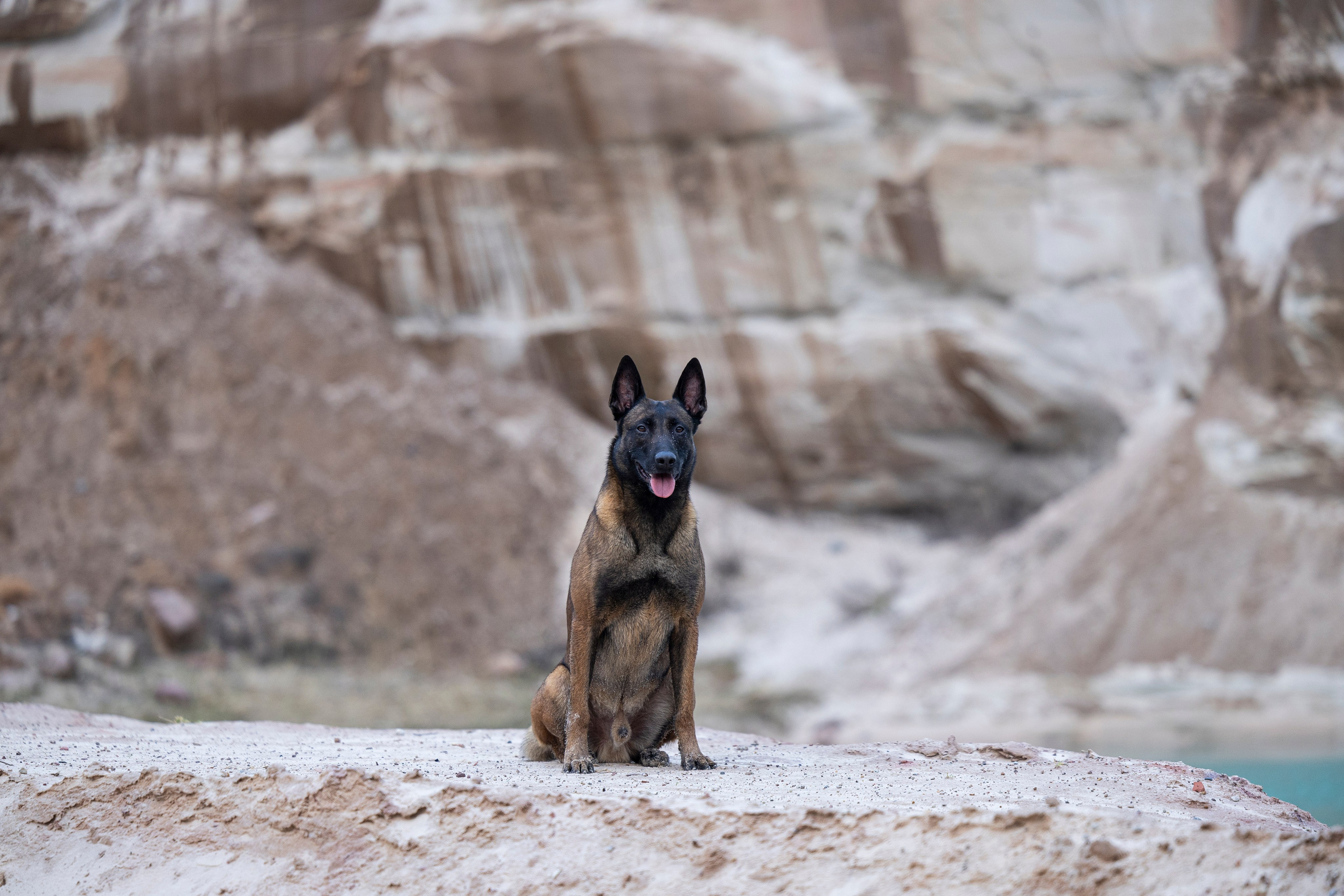 Лужские Мальдивы. Фотограф-анималист Анна Маринич