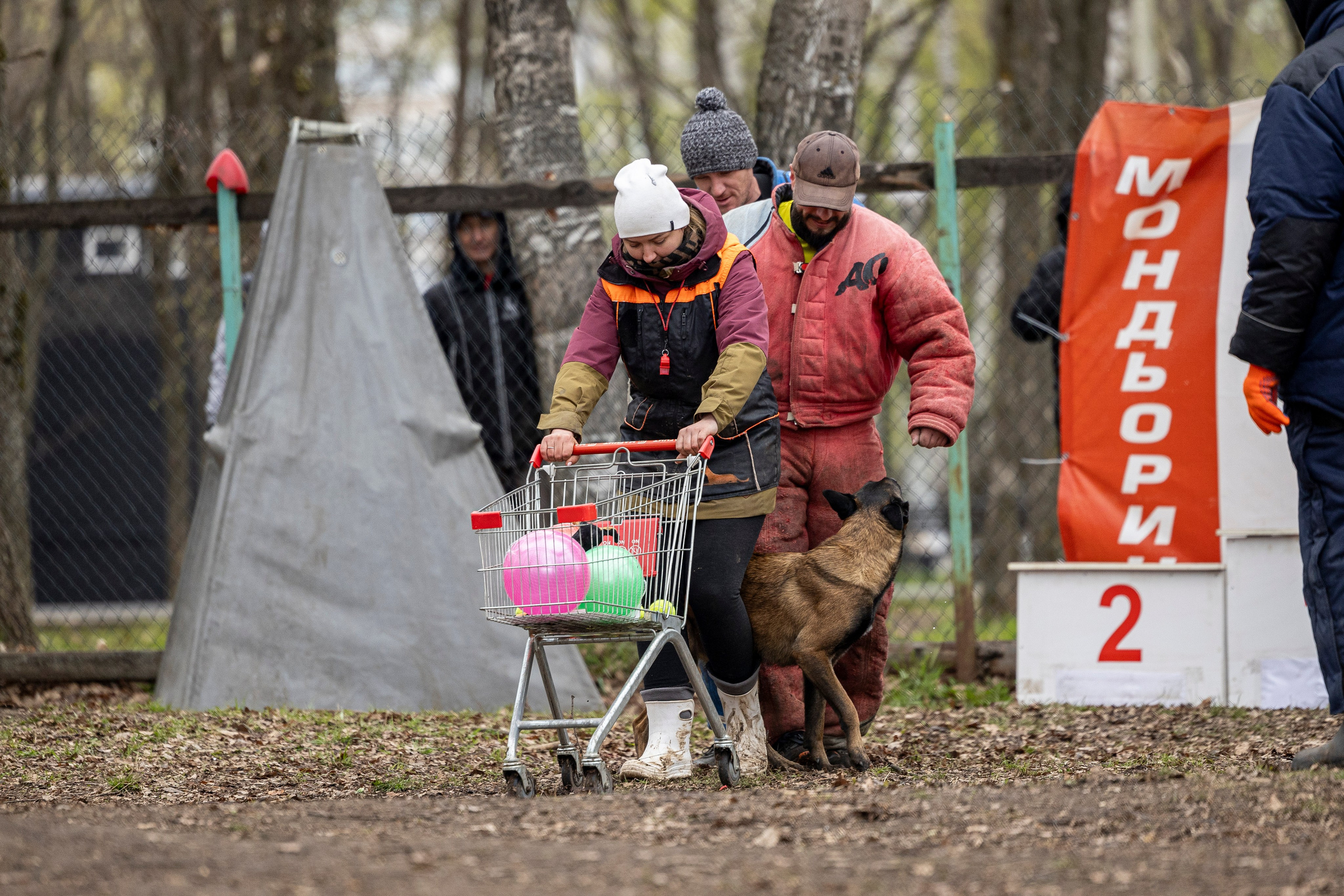 Квалификационные состязания по мондьорингу г. Вологда 11.05.24. Фотограф-анималист Анна Маринич