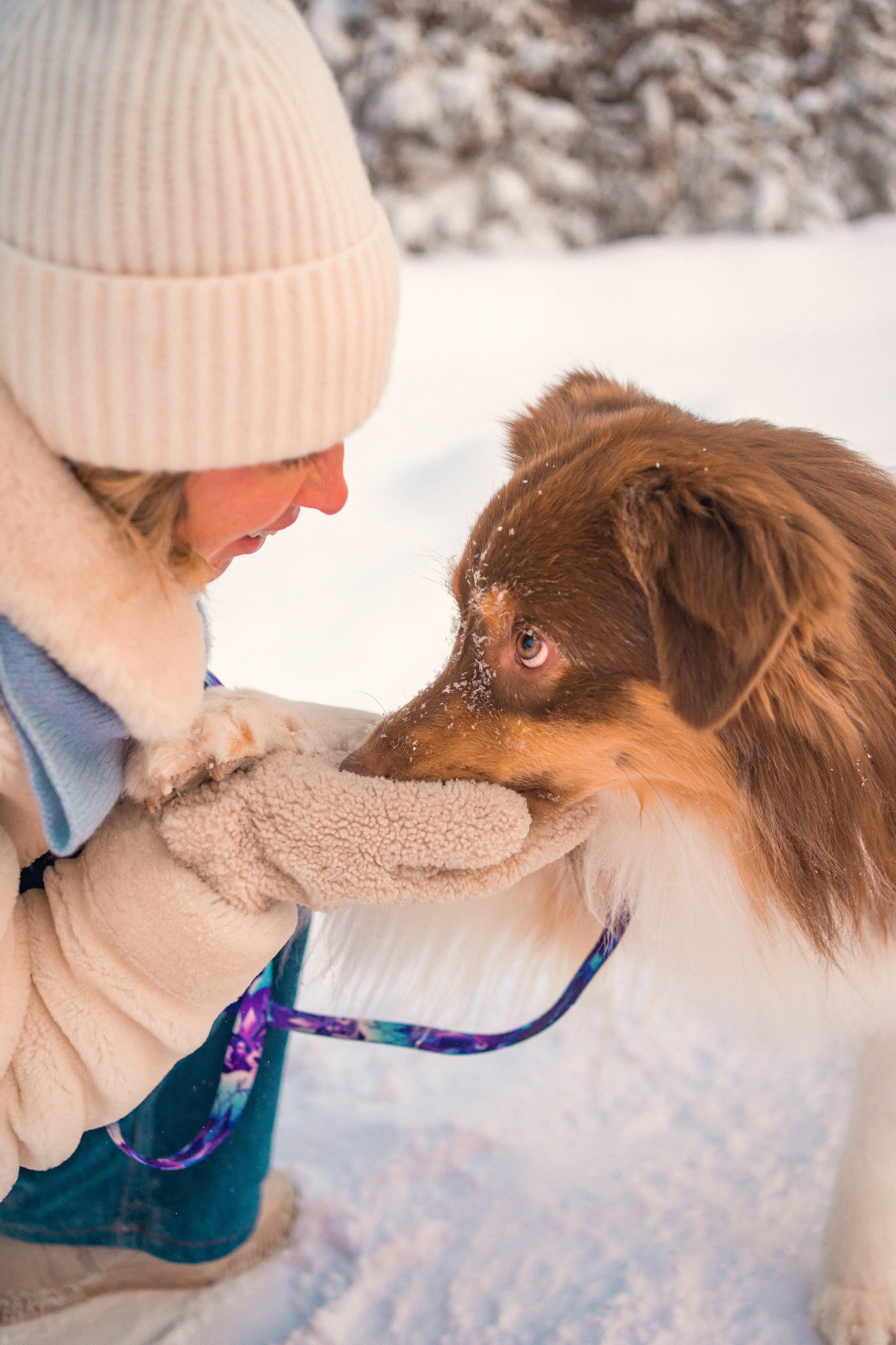 Айла и Харли. Фотограф-анималист Анастасия Большакова