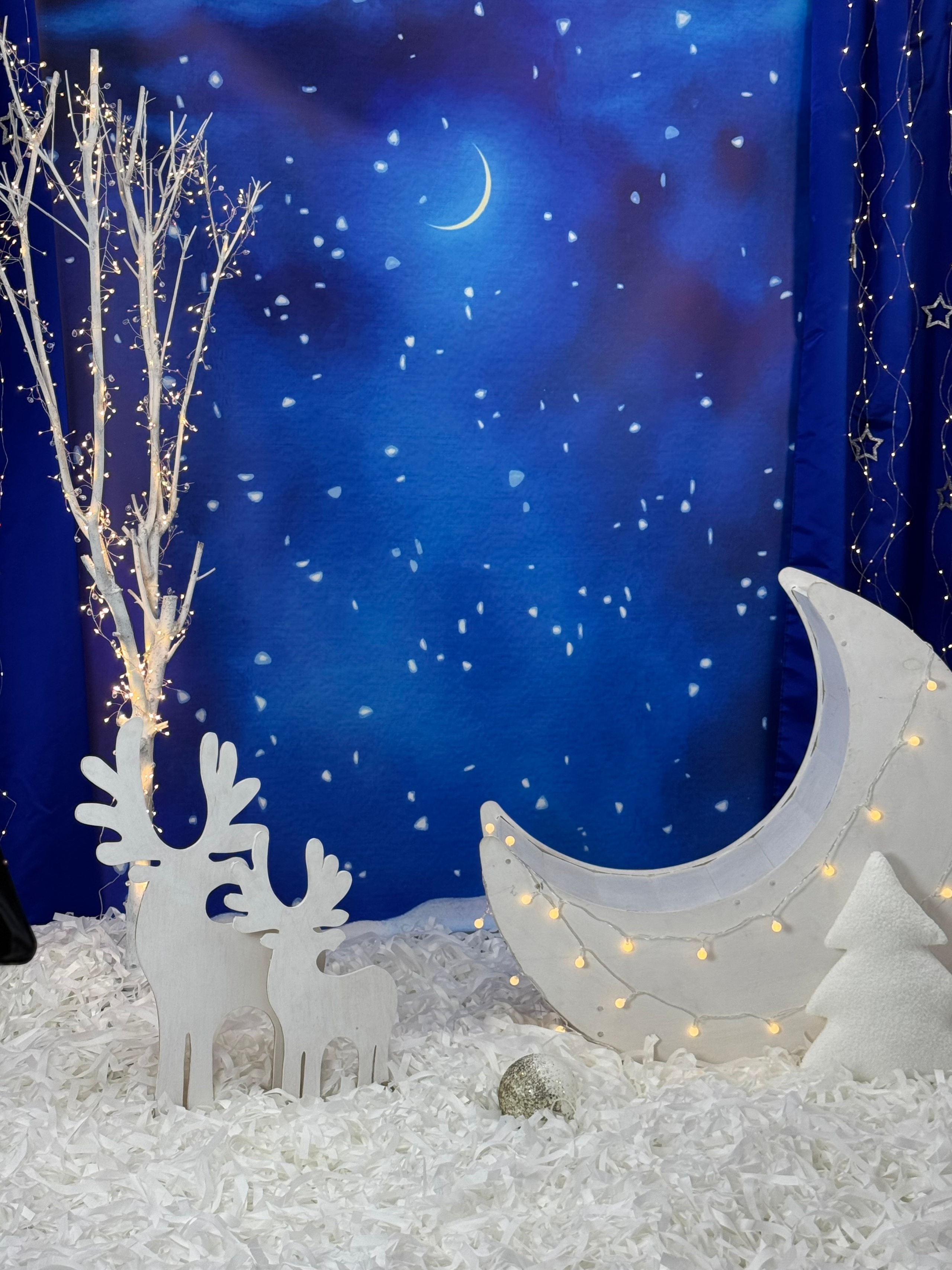 Зимняя сказка фото зона. Фотостудия