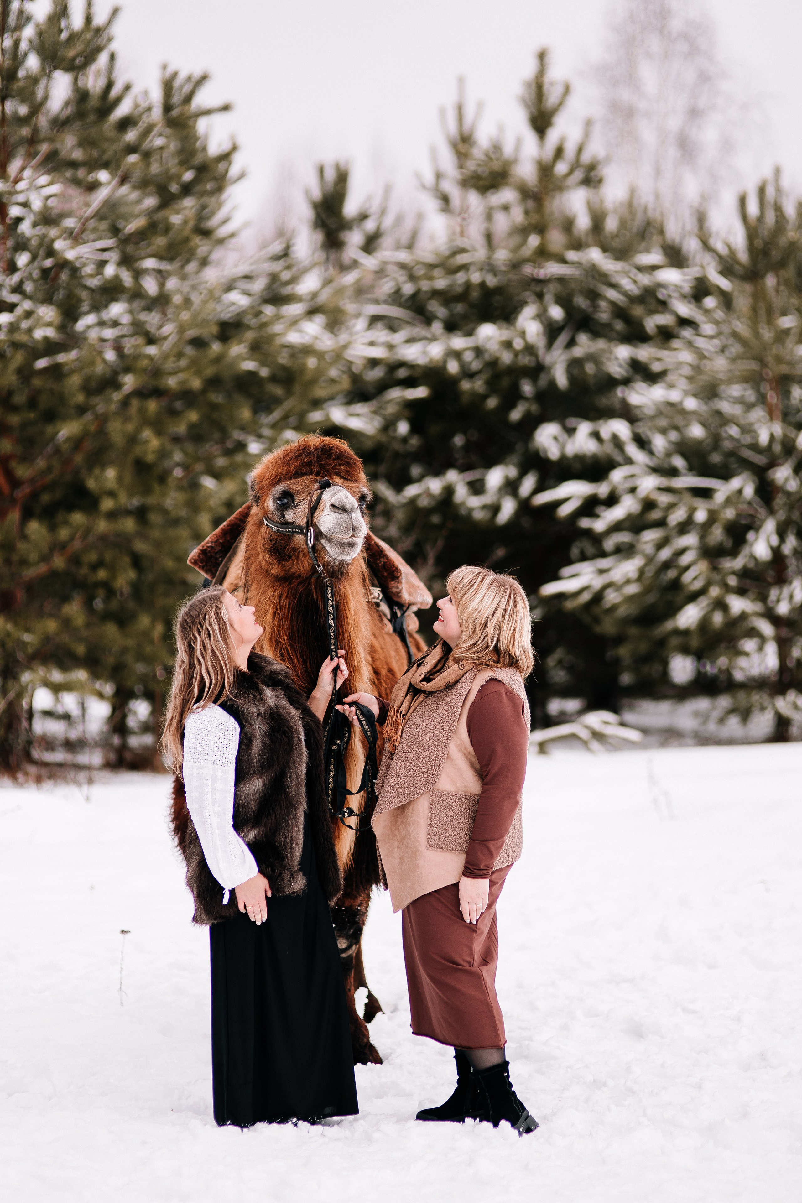 Леденящее приключение. Фотосессии Фотодни Псков СПб