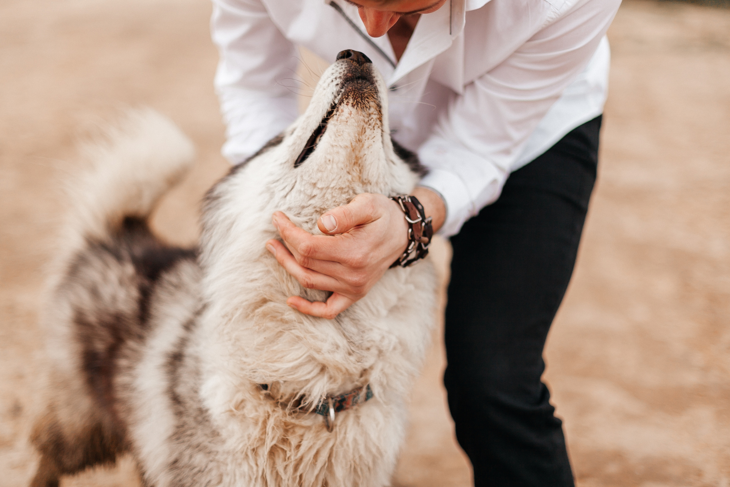 Свадебный фото. Свадебный фотограф в Орле Андрей Поляков
