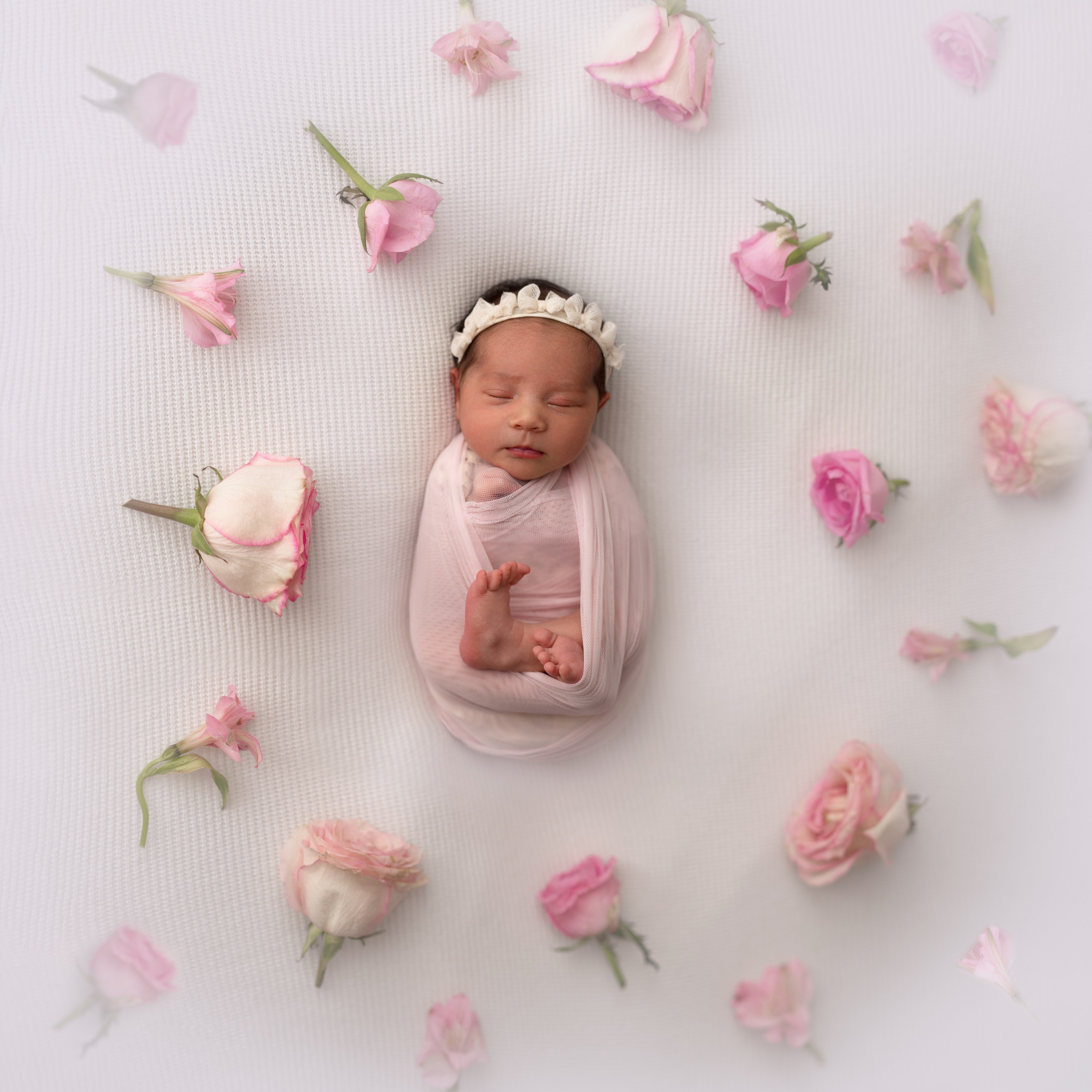 Newborn ДЕВОЧКИ. Фотограф новорожденных в Новосибирске