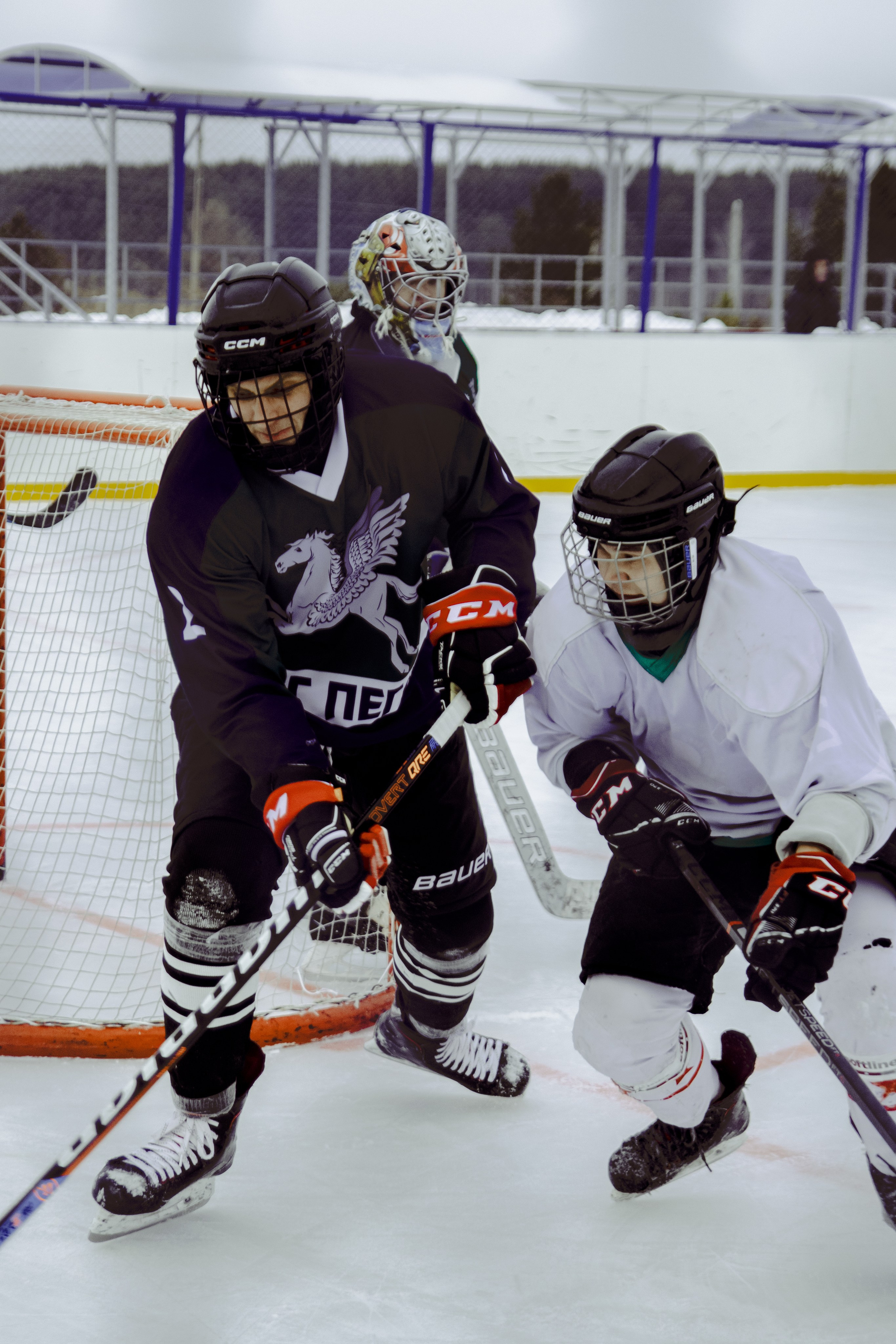 Хоккей 29.12.2024