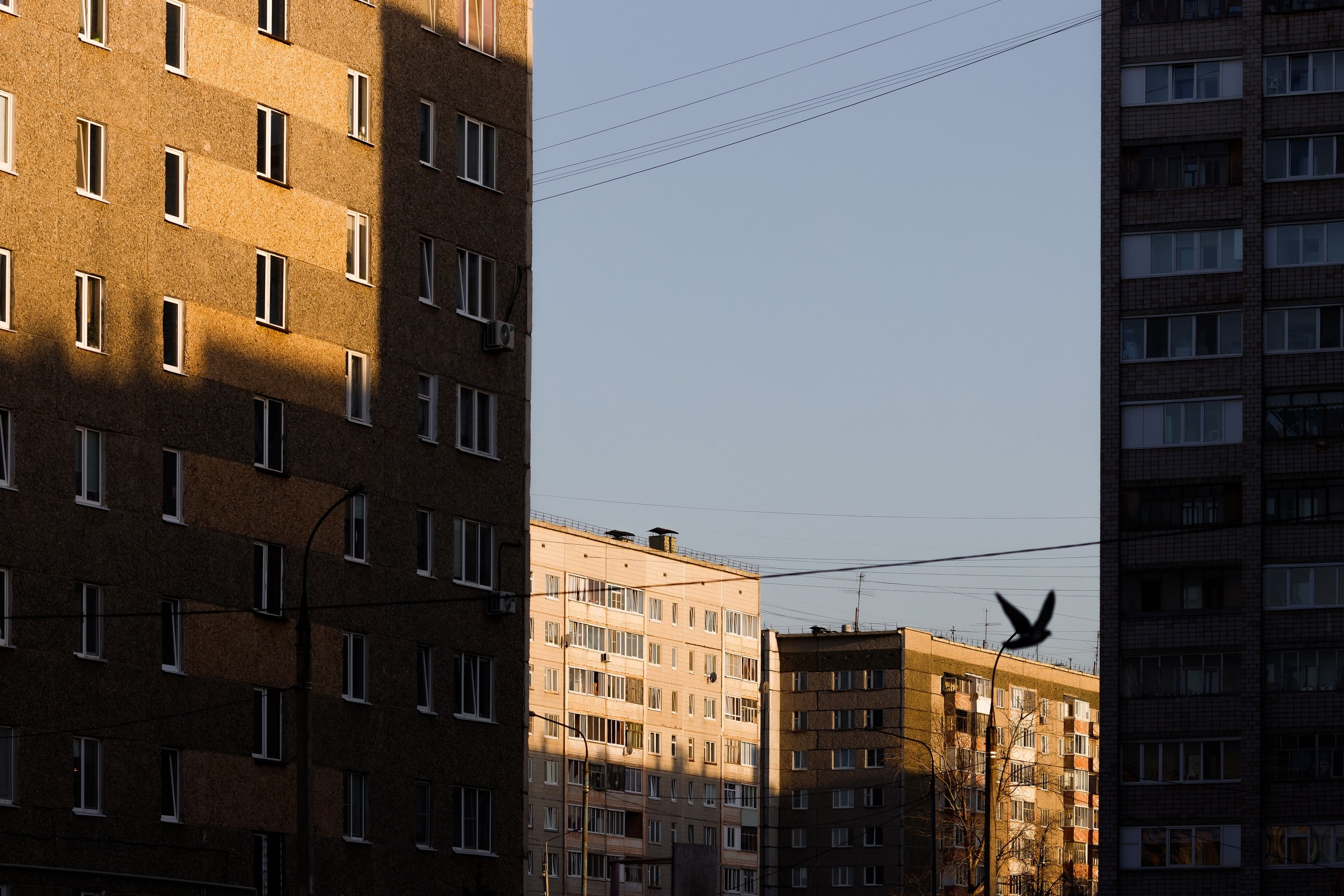 Творчество. Профессиональный фотограф Амир Закиров
