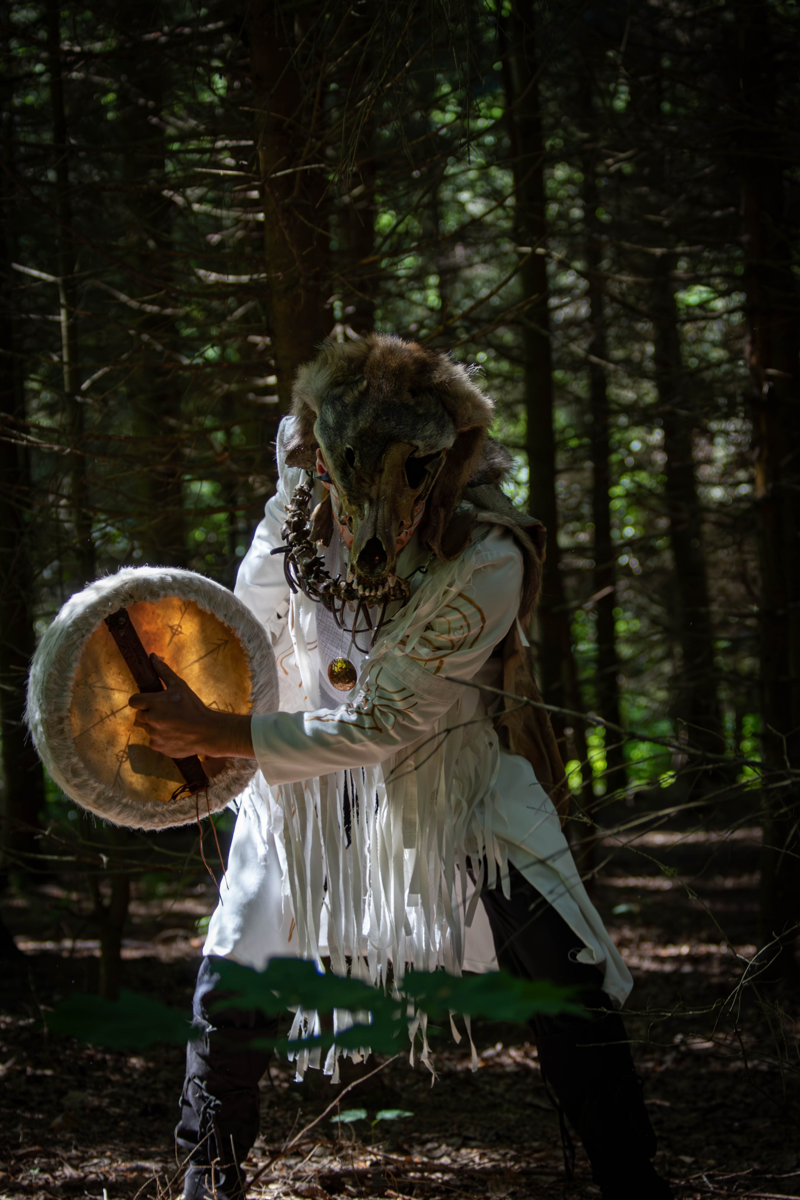 Презентация альбома группы YARuGA. Фотограф анималист — Тула, Москва