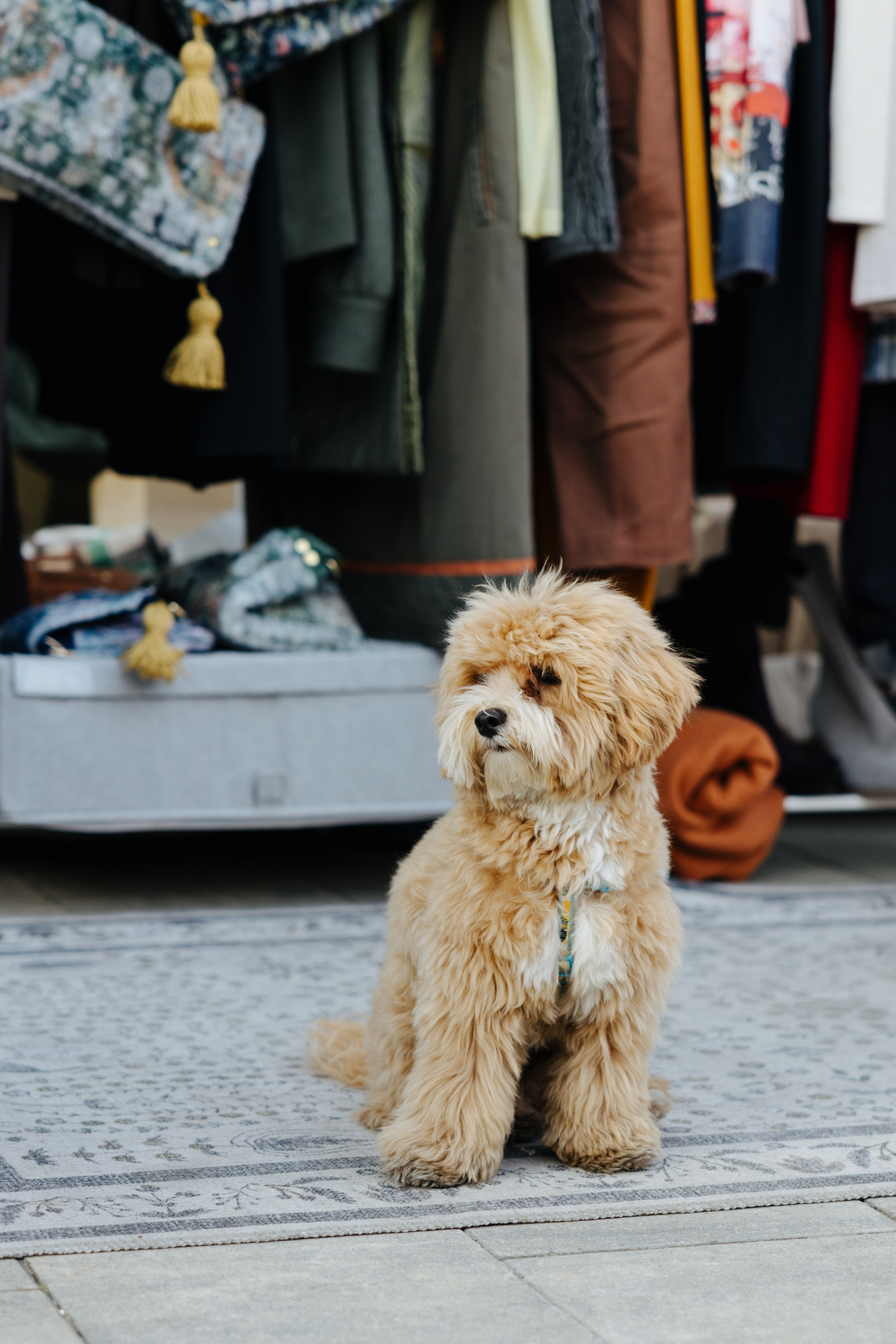 13–14 сентября 2025 на Даниловском рынке / День 2 / фото Валерий Белобеев. Фотоотчеты «Ламбада-маркета»