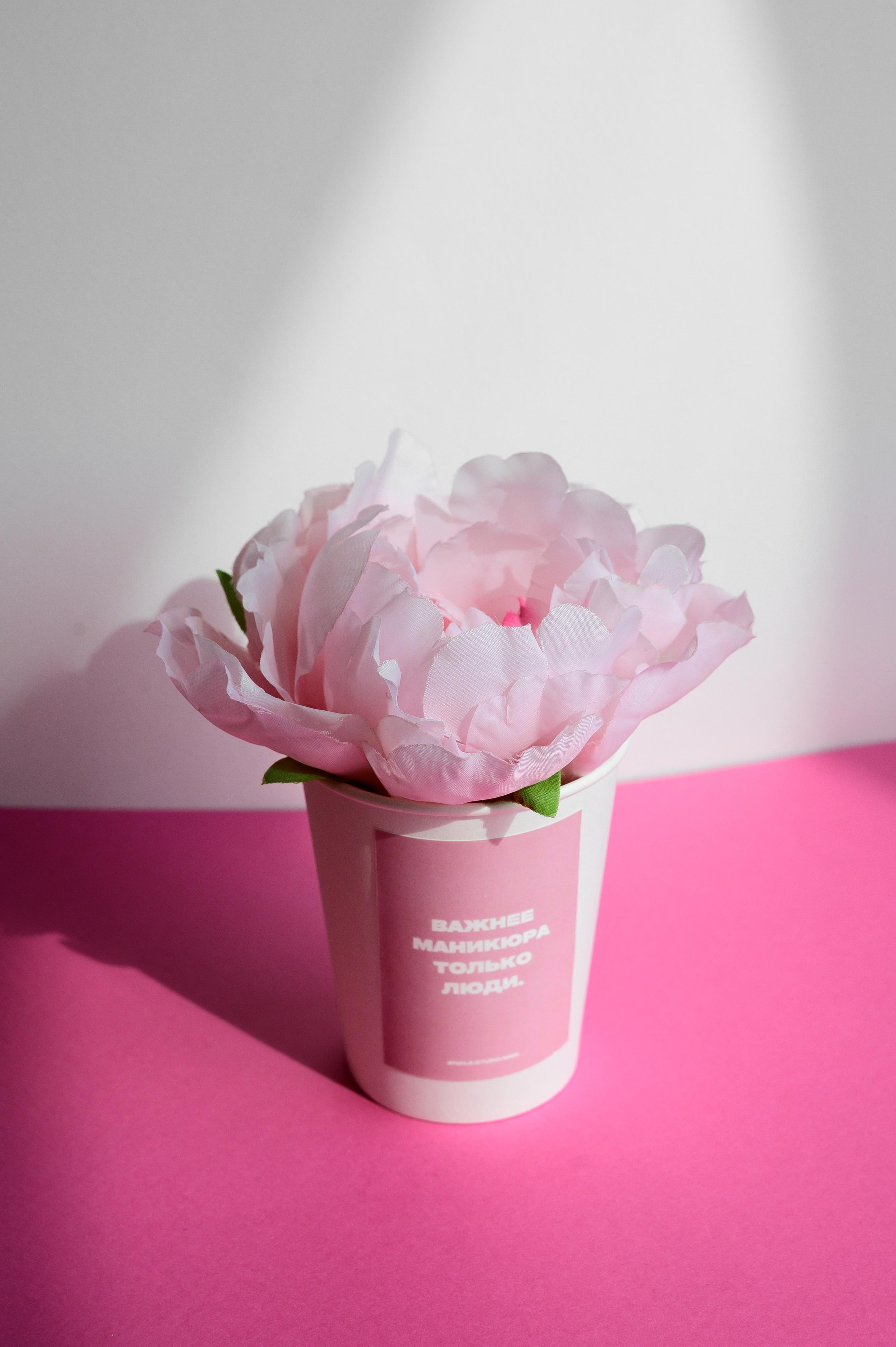 Коммерческие кейсы. Фотограф, контент-фотограф Екатеринбург и Новоуральск Екатерина Гусева