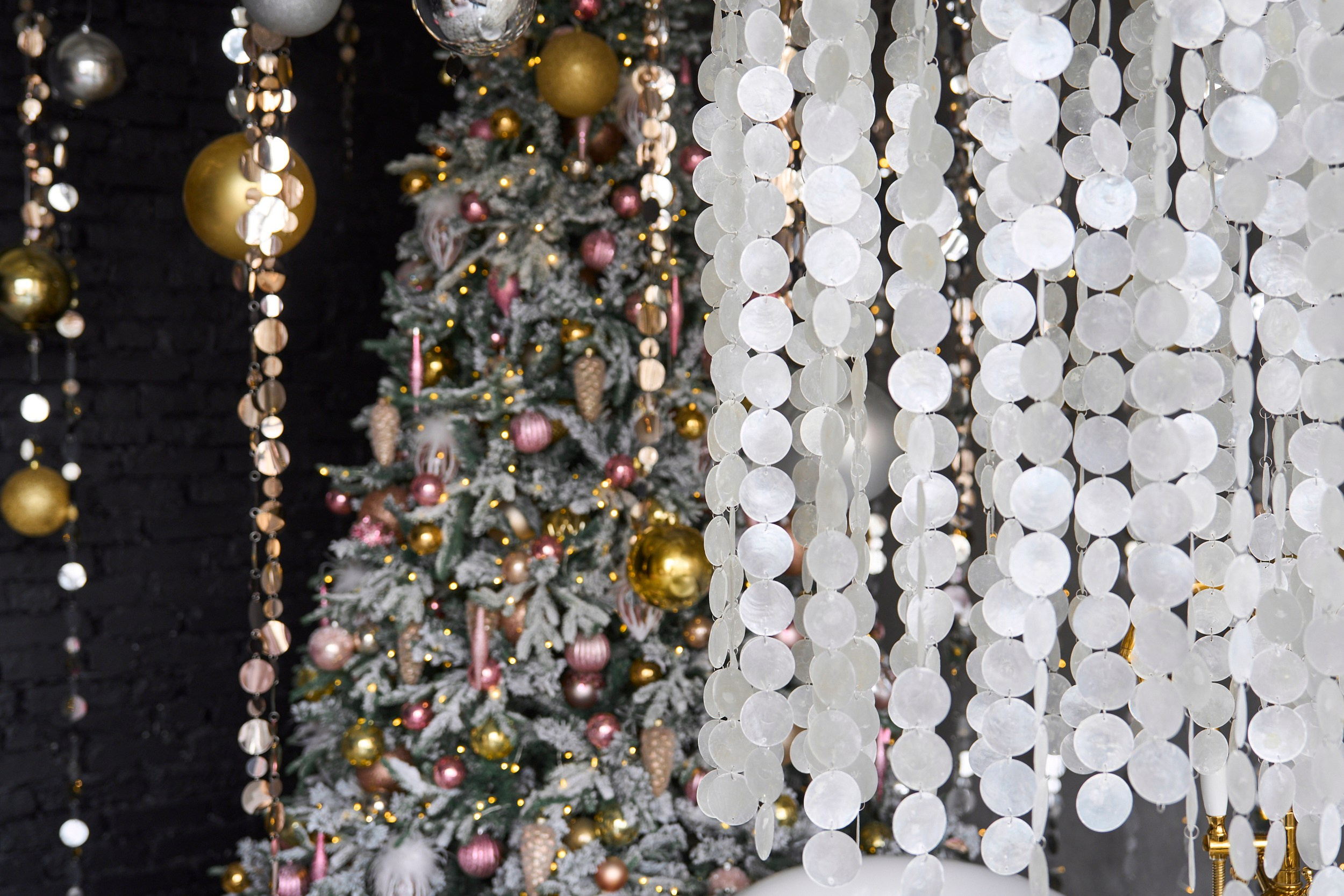 Рим (Rim). Фотограф г. Хабаровск. Семейные и индивидуальные съёмки