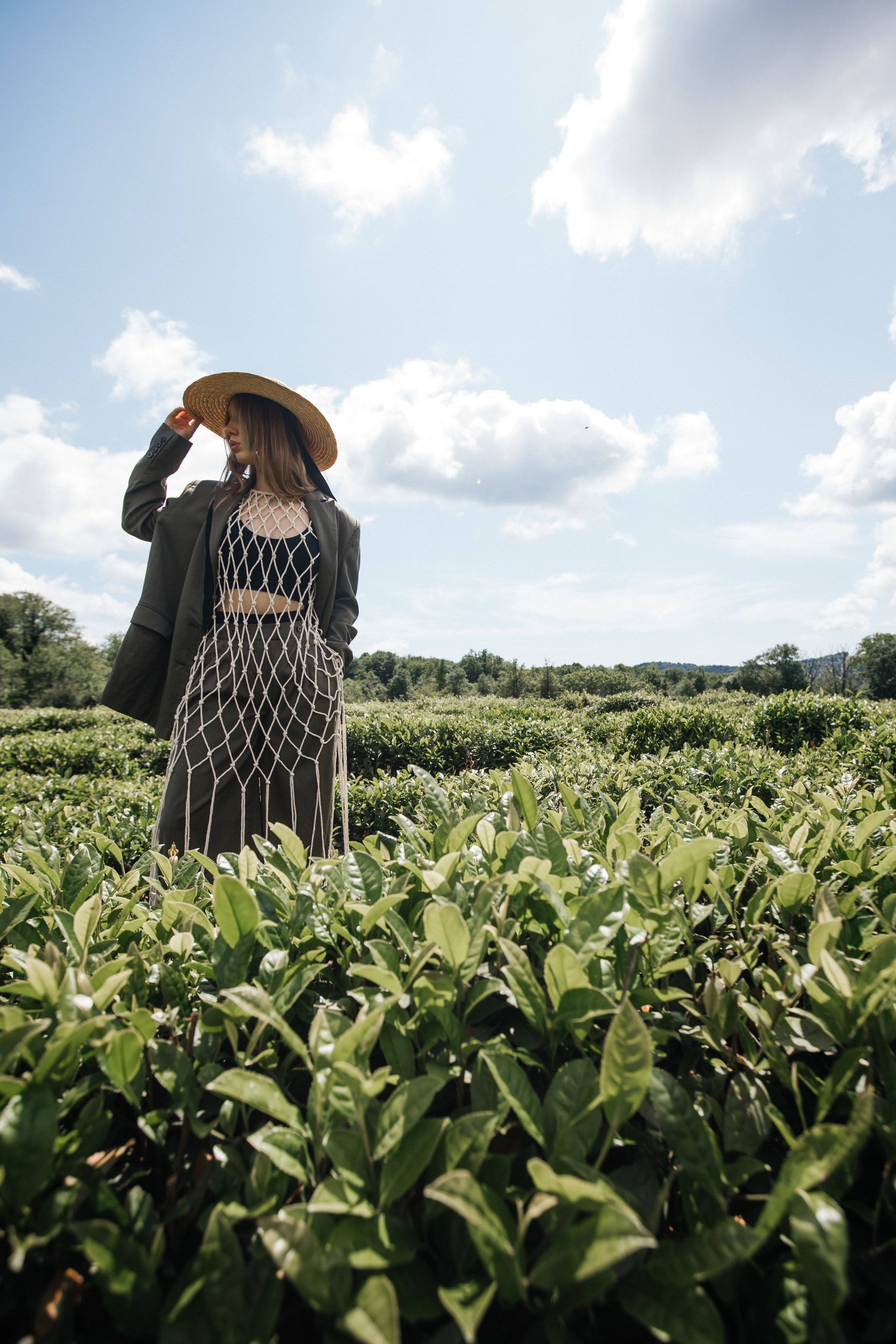 Tea plantation. Efimova Model Agency