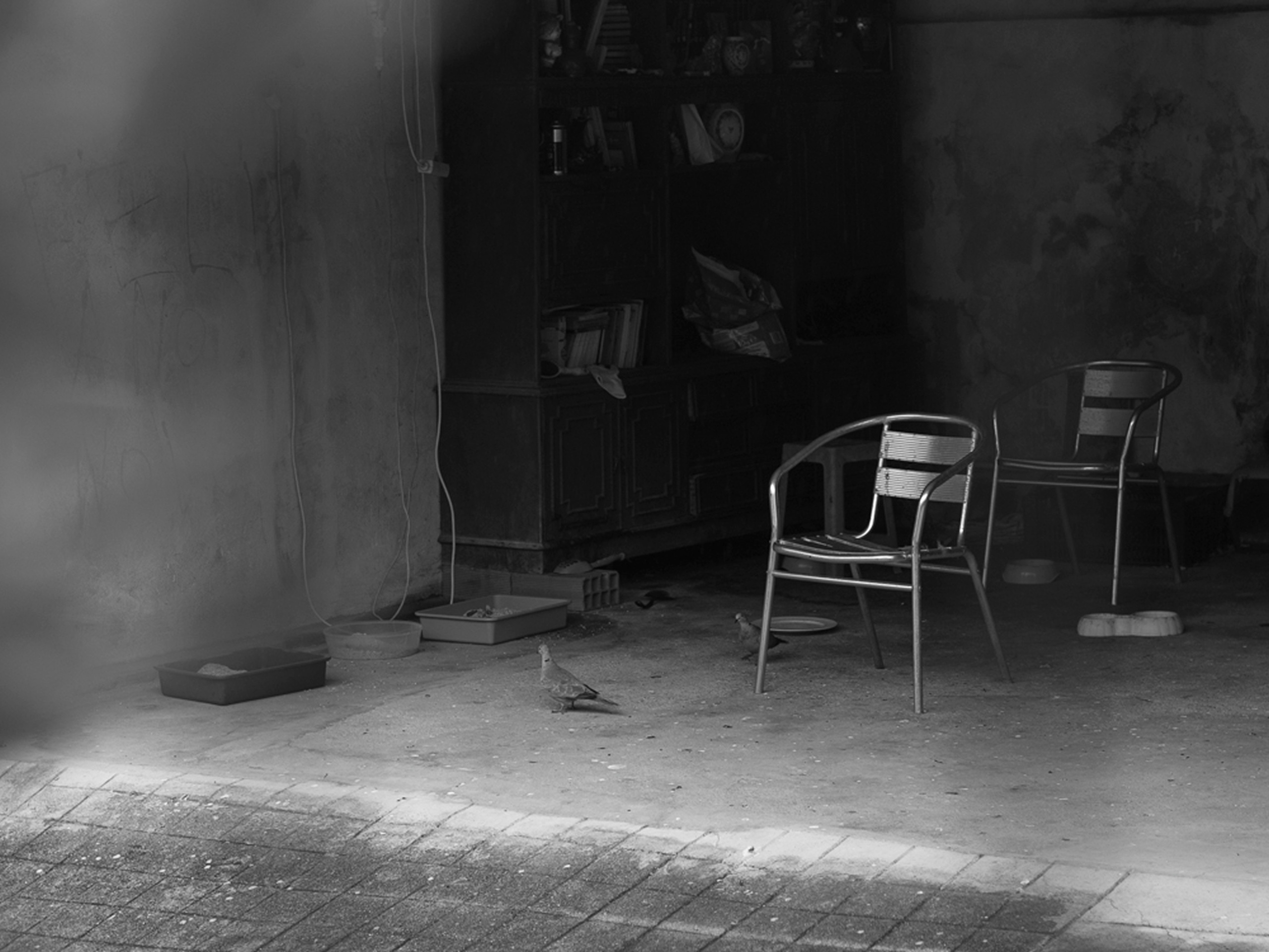 The veil. Ula Aldokhina