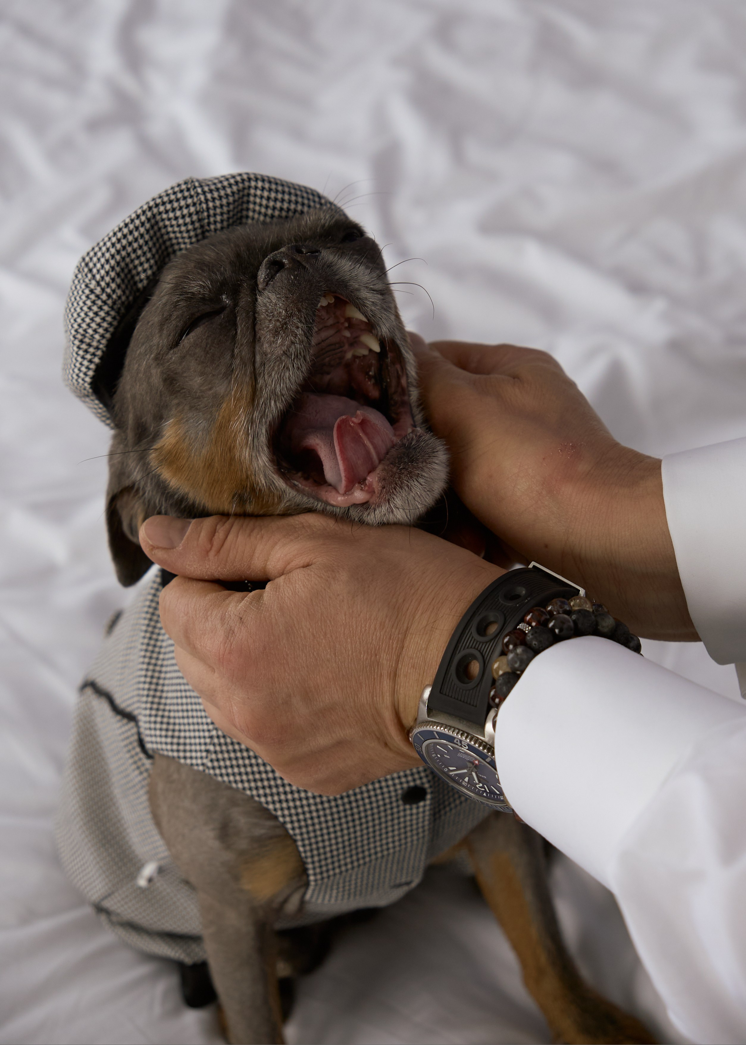 Boris & Sofia. Ксения Петровская — фотограф и видеограф