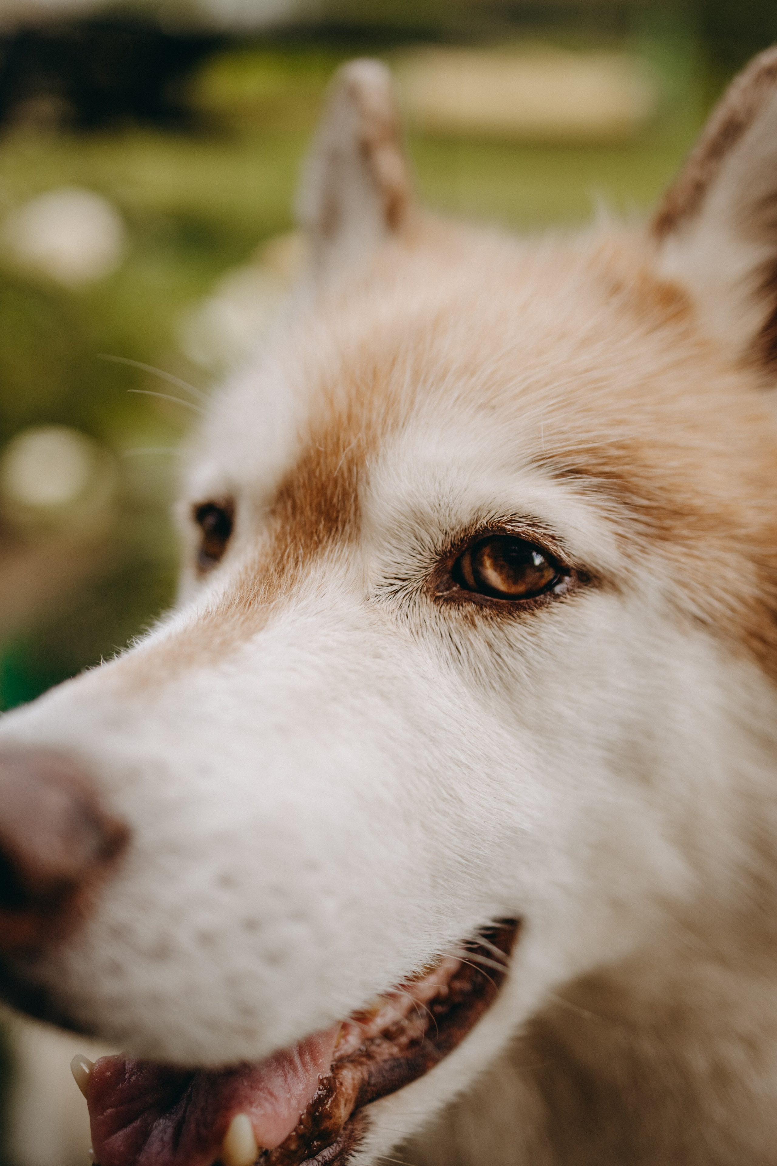 Дом у реки. Фотограф — Анималист | Санкт-Петербург