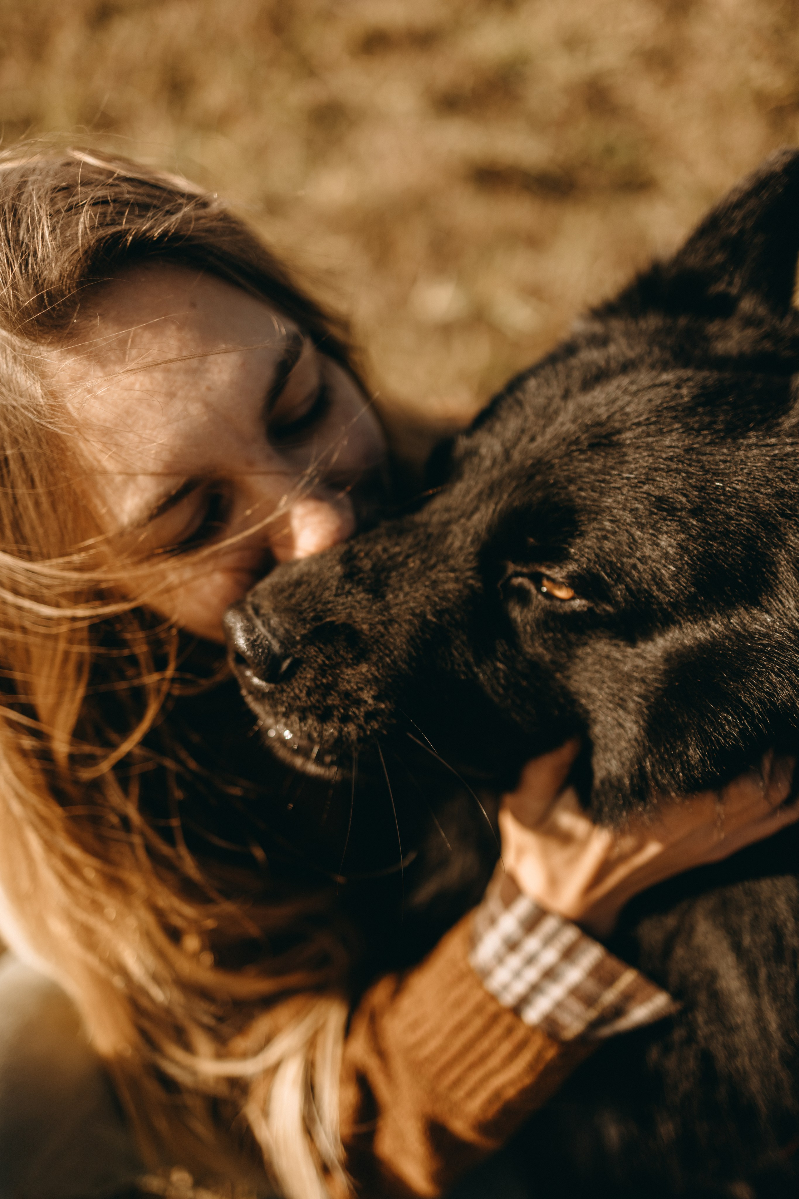 Лора и Джанго. Фотограф — Анималист | Санкт-Петербург