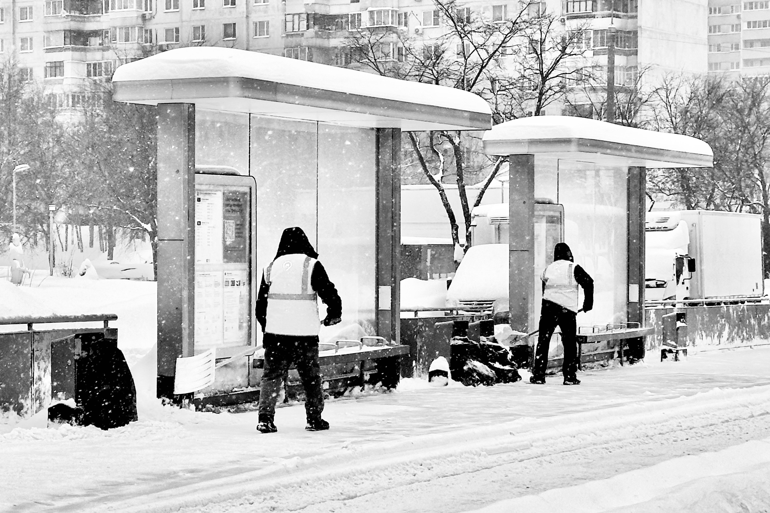 Чёрно-белая зима 25-26. Фотосессии и репортаж — Фотограф в Москве — Рина Серёгина
