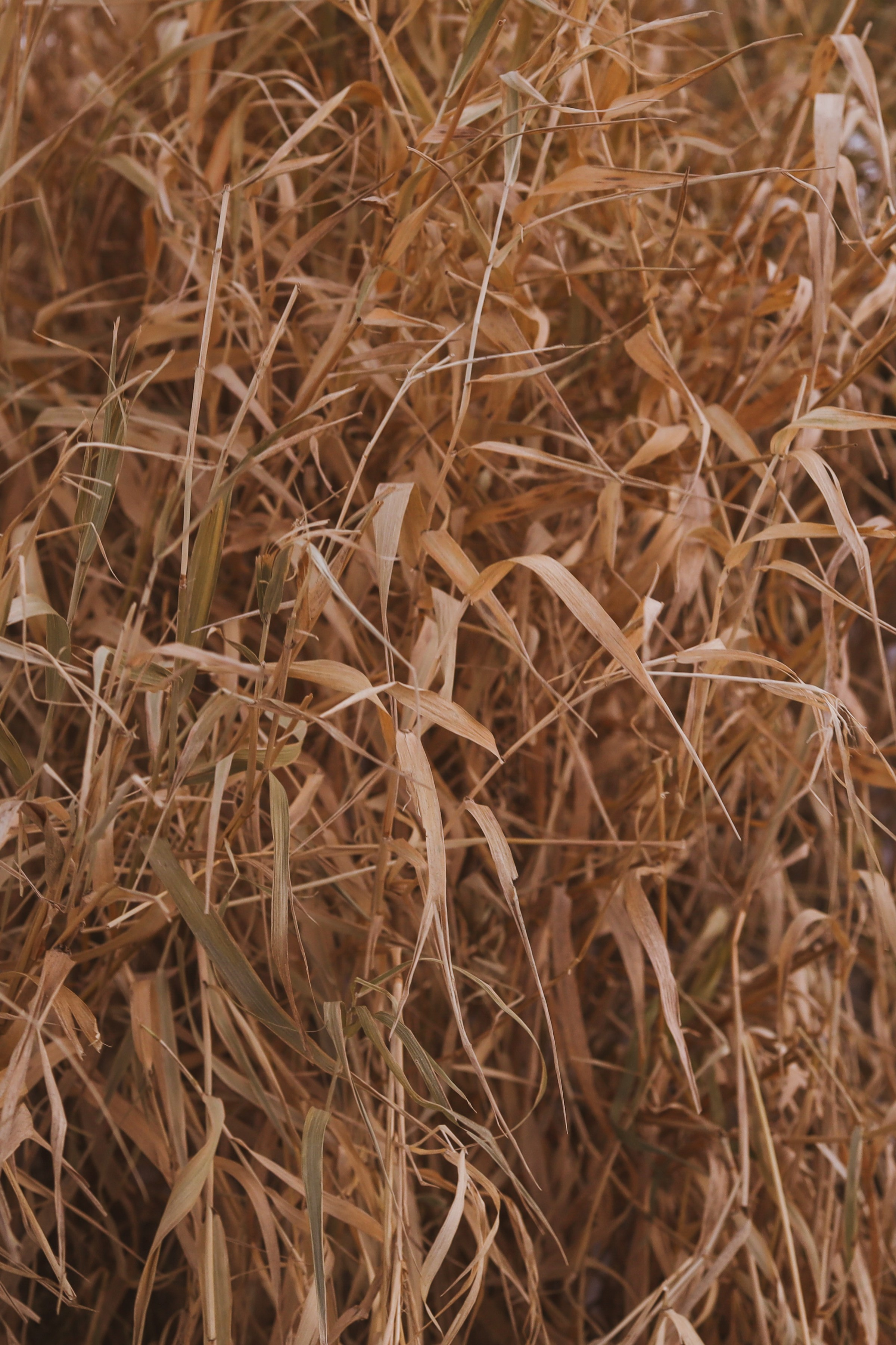 Эксперименты. Фотосессии и репортаж — Фотограф в Москве — Рина Серёгина