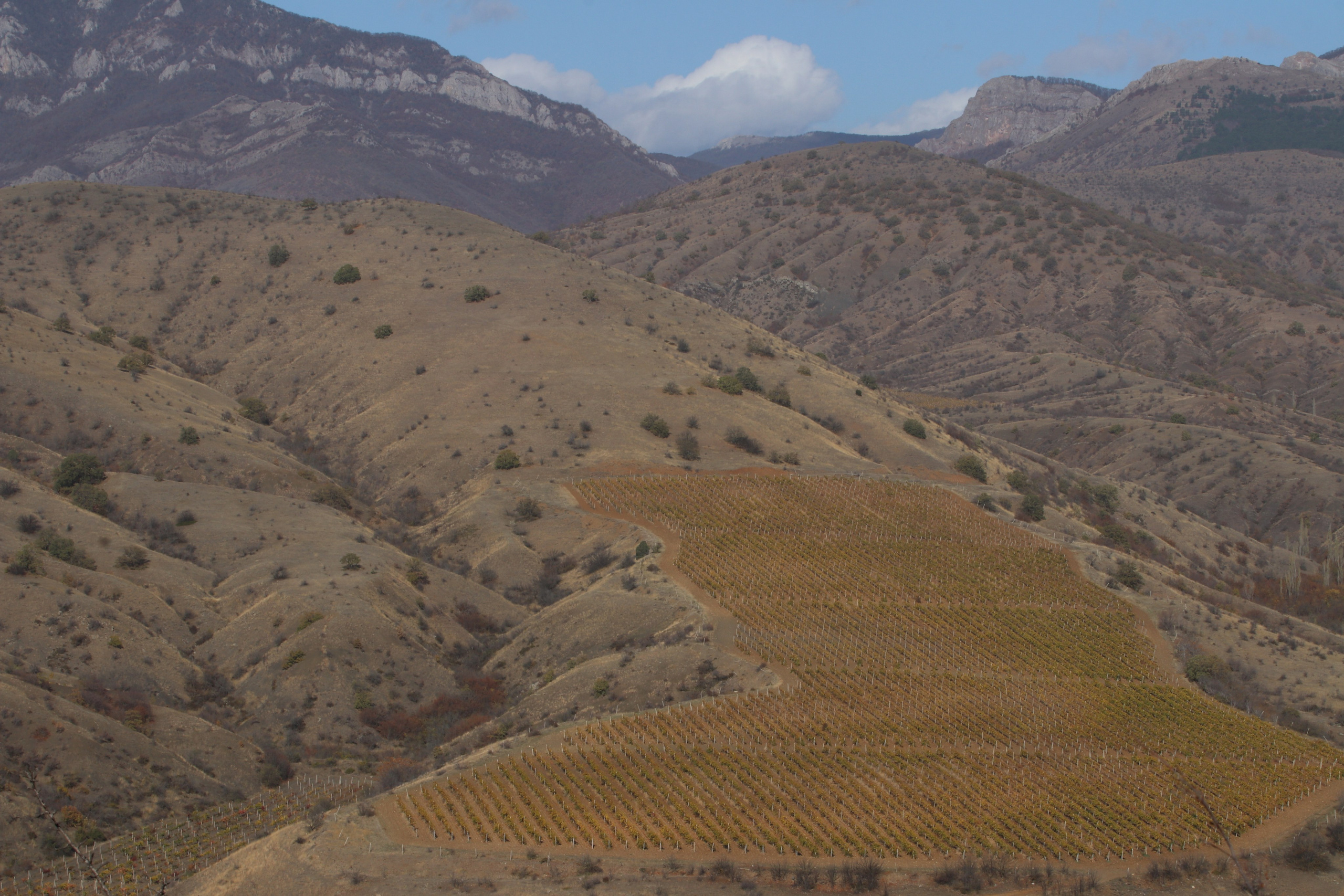 Крым. ЮБК (Гурзуф, Судак и их окрестности). Ноябрь 2023. Путешественник-фотограф из Санкт-Петербурга Татьяна Свистулина