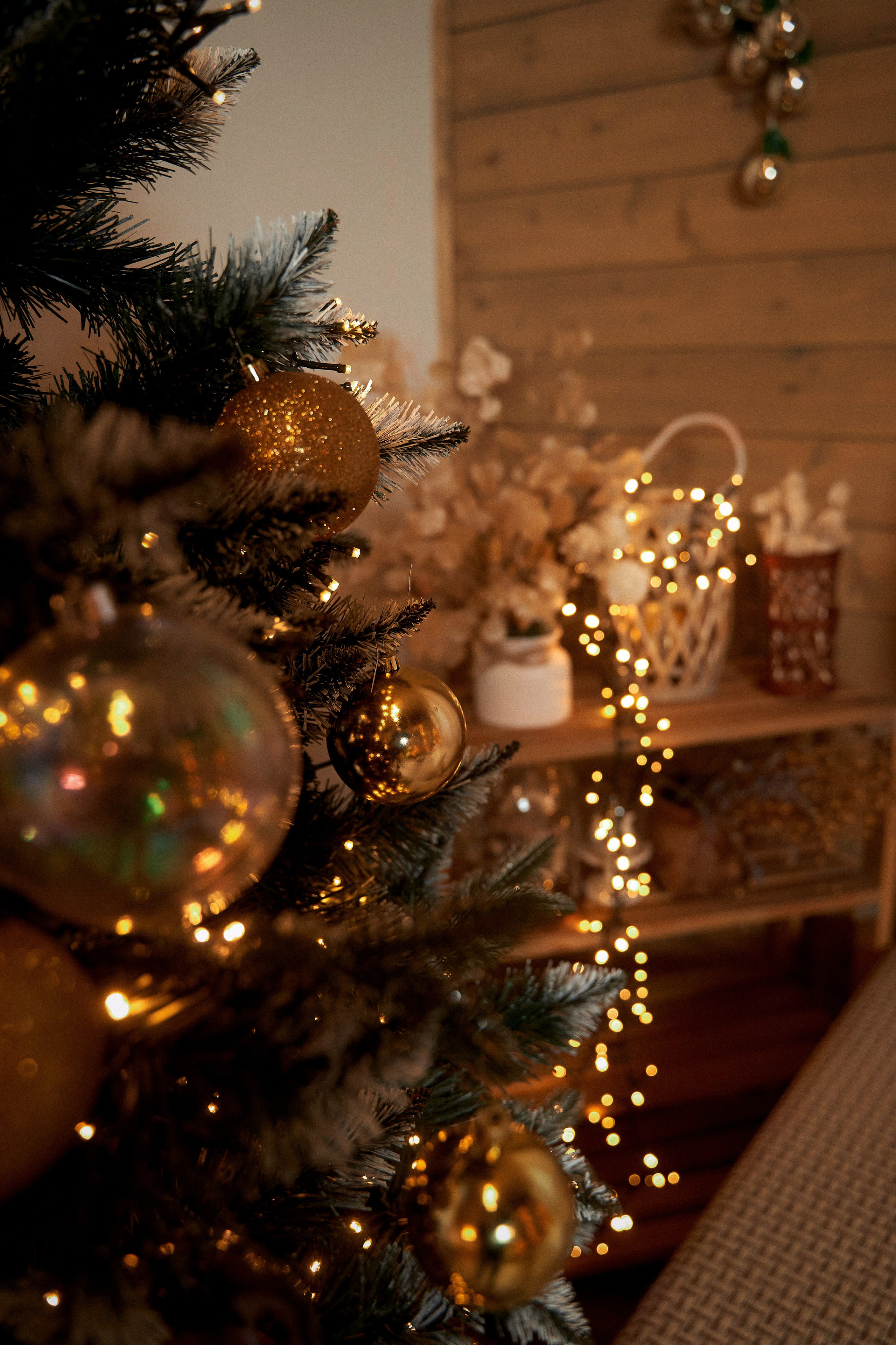 Сережа с семьей. Свадебный и семейный фотограф Игорь Елагин