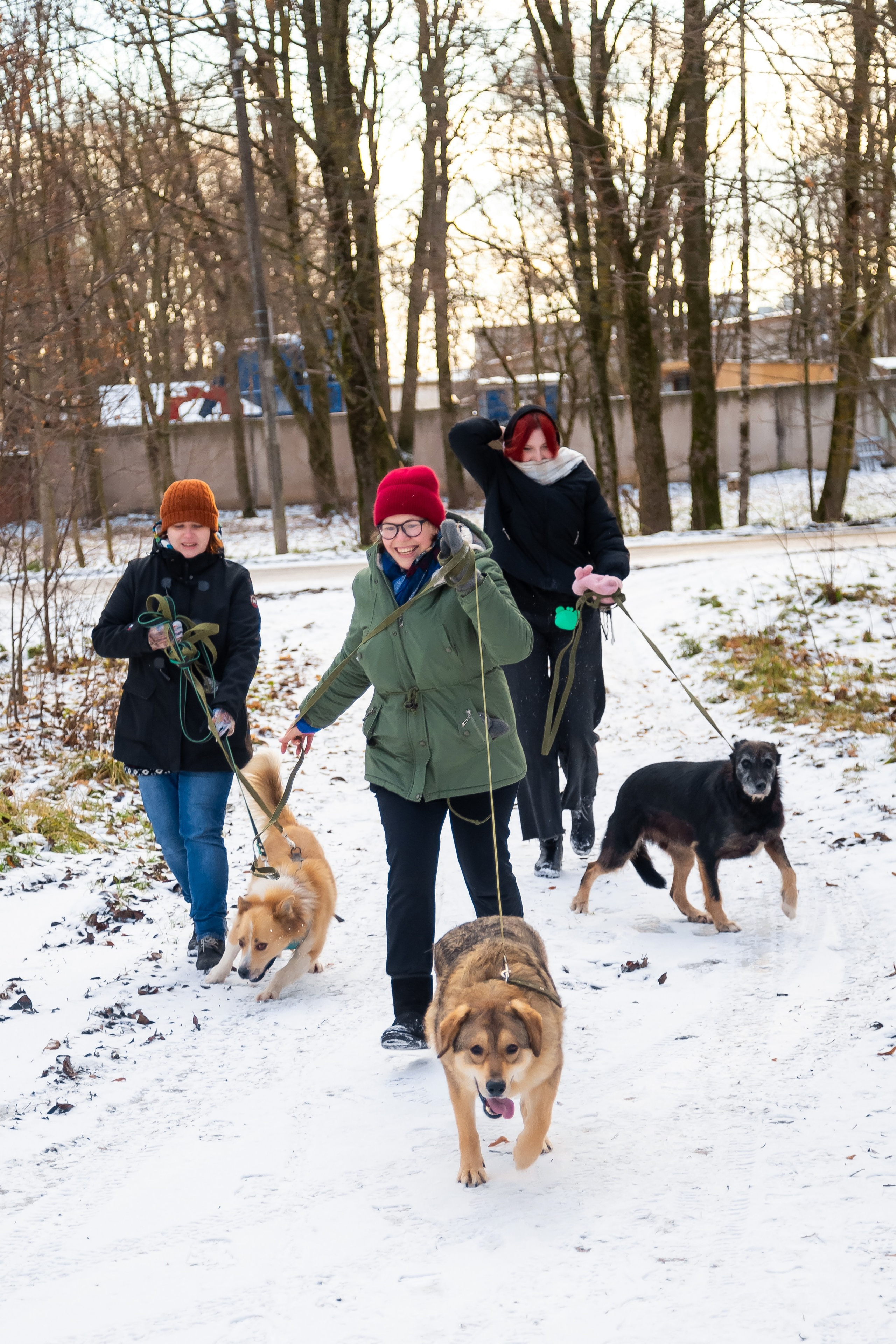 Petshop Забота. Фотограф в Санкт-Петербурге Чумаков Семен