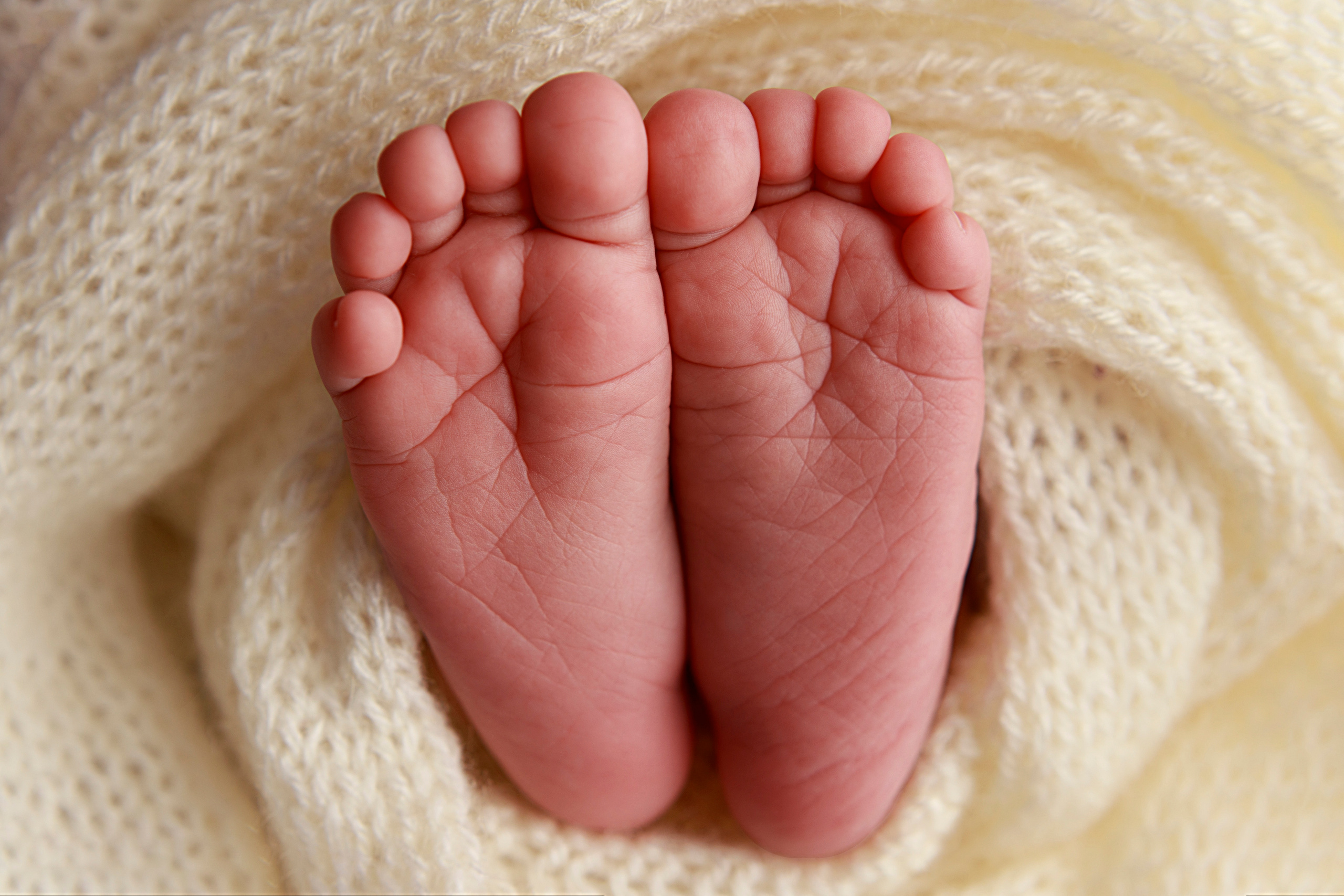 Красивые фотографии малышей у Вас дома. Фотограф новорождённых в Санкт-Петербурге Лилия Яковлева