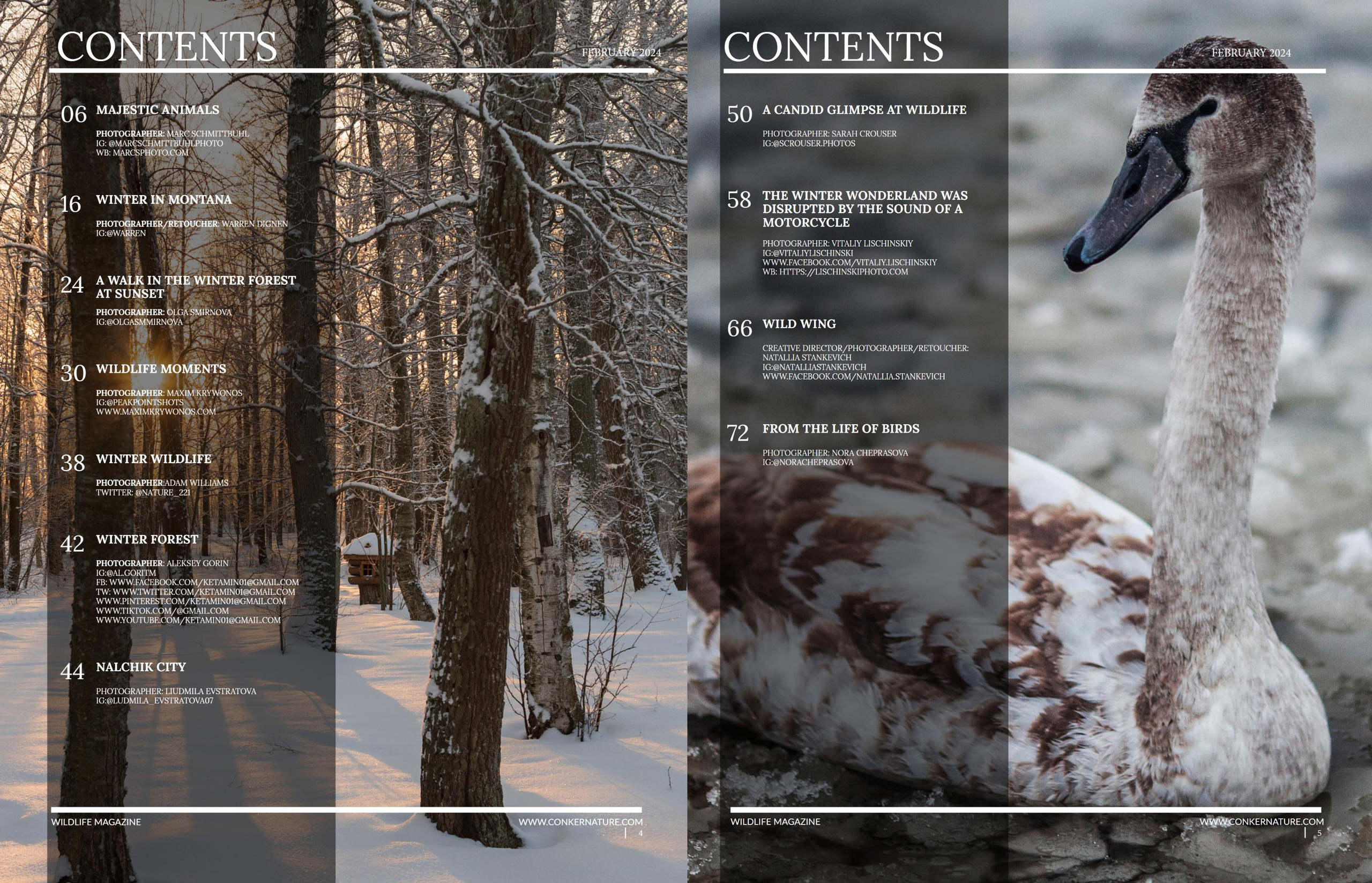 My publications in printed publications, magazines. Фотограф (photographer) Lischinski Vitaliy