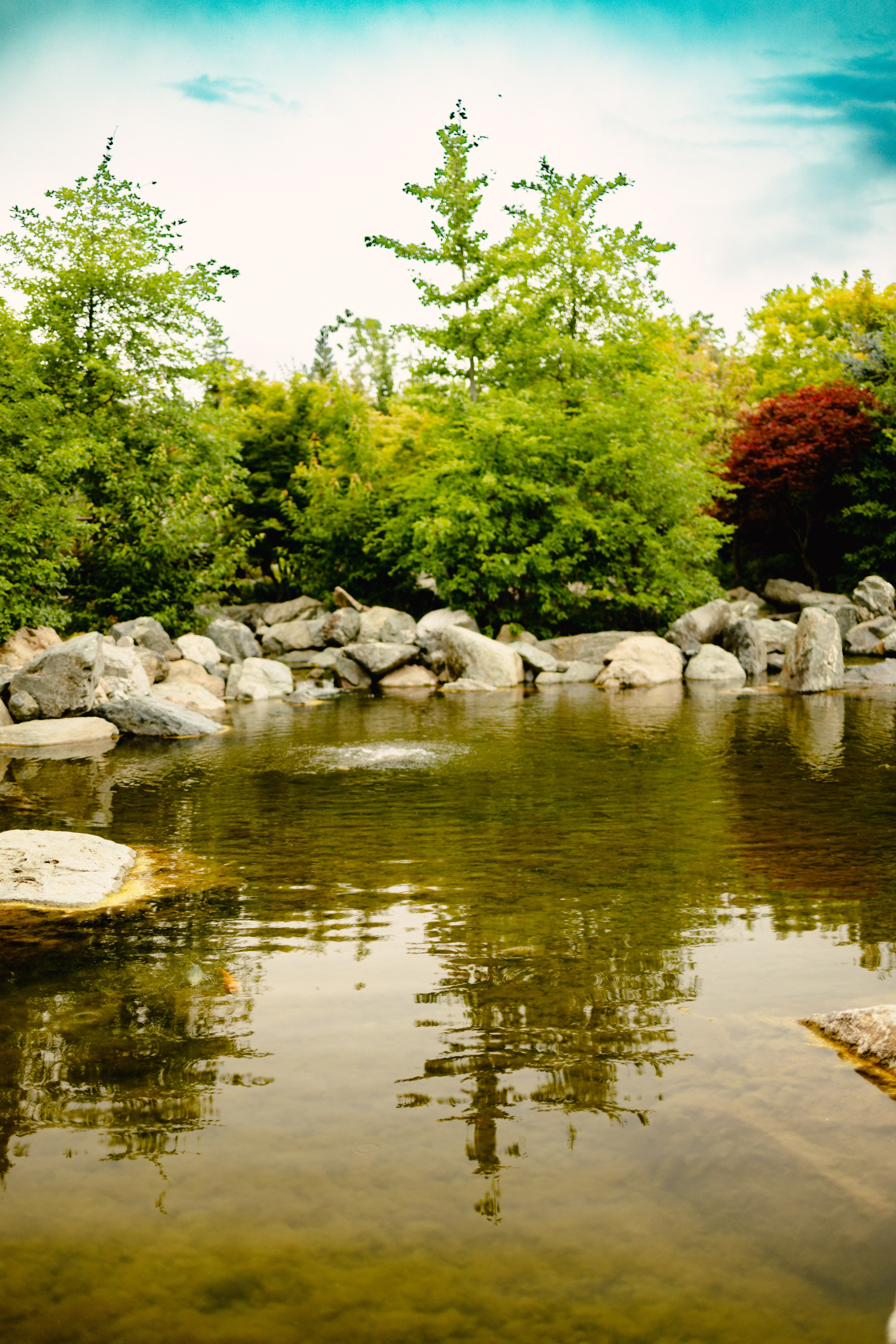 Японский сад в Краснодаре. Профессиональный фотограф и видеооператор