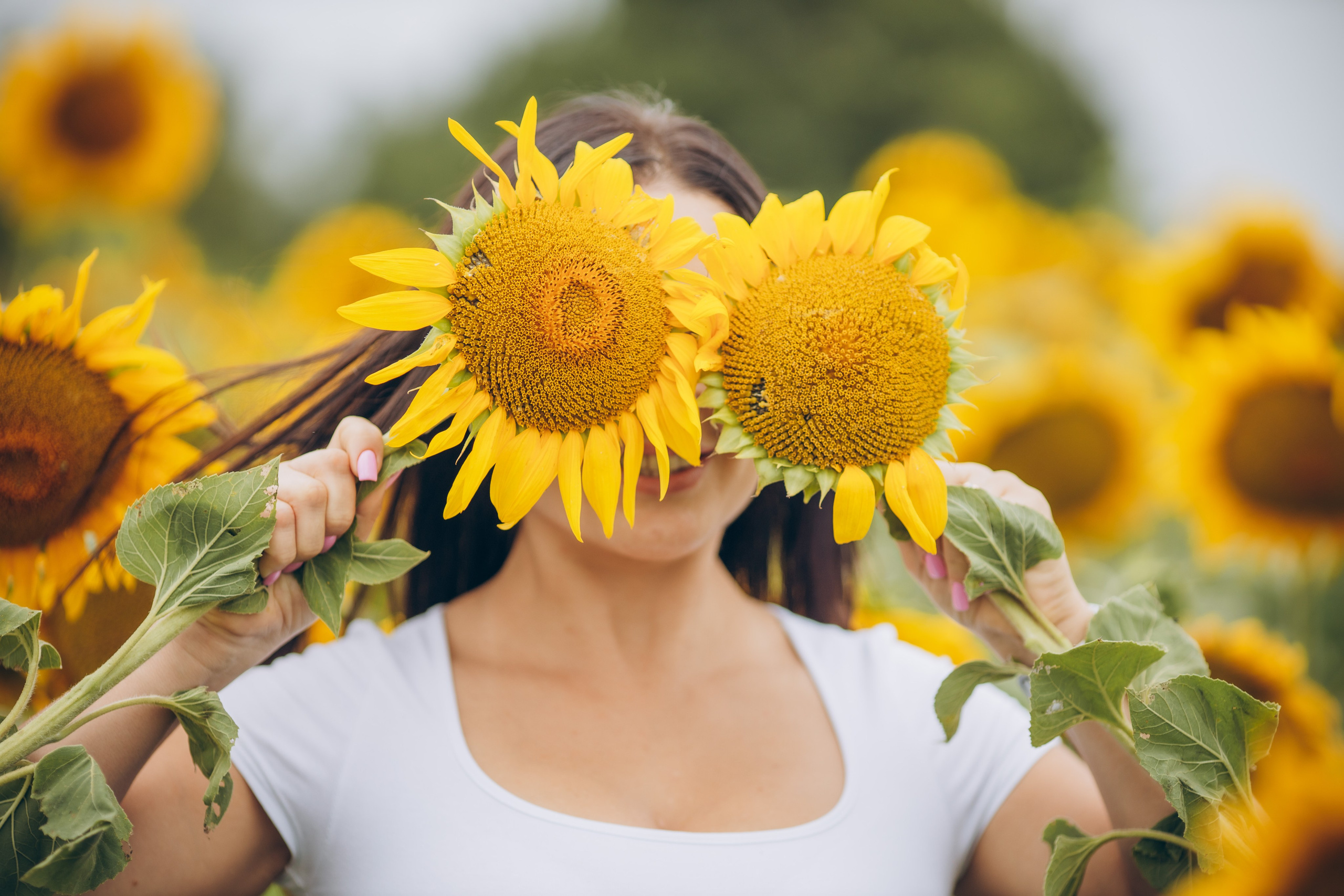 Лето. Профессиональный фотограф и видеооператор