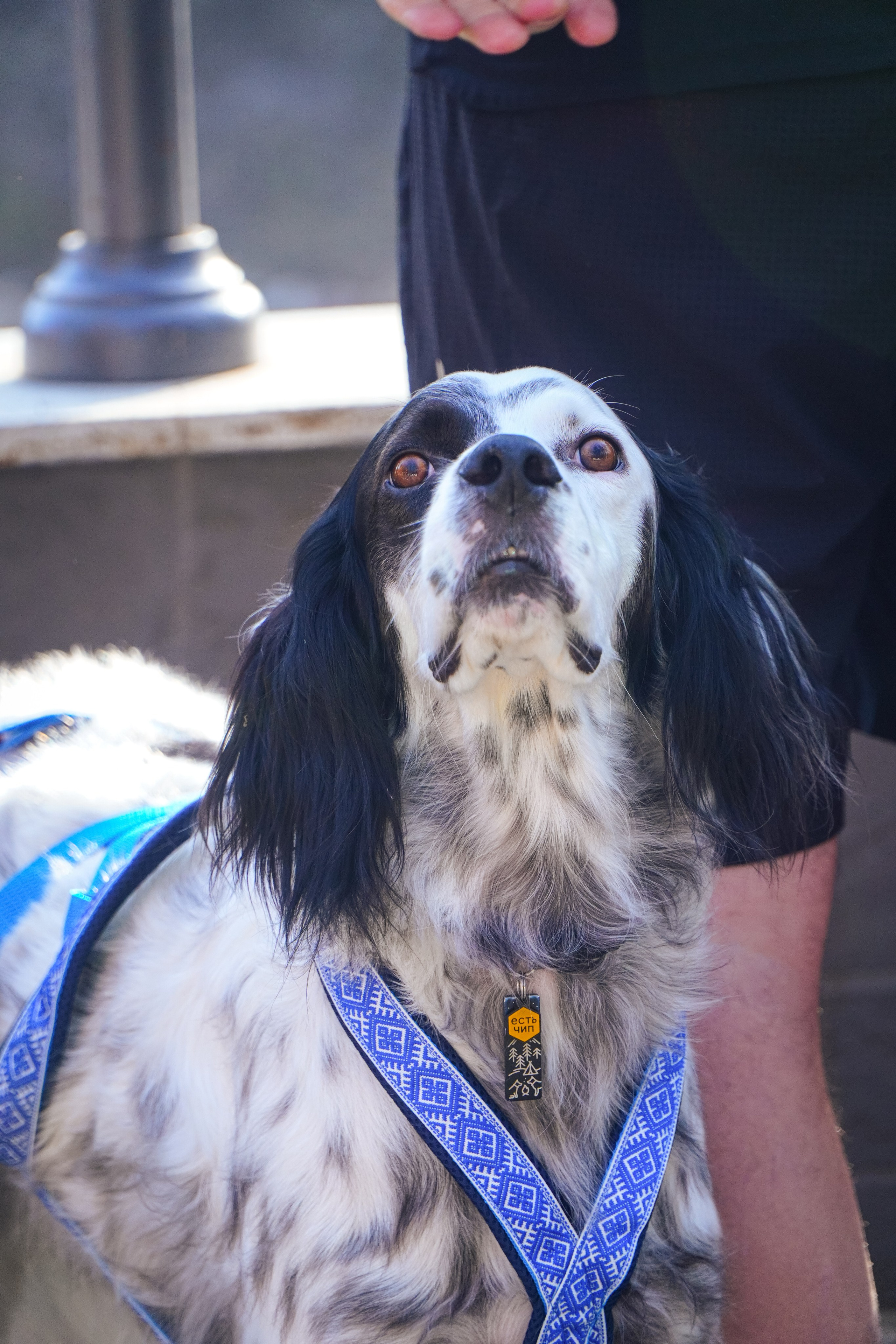 Капибара Кусково & RHR. Роман Капилюшов. Бег. Фото. Видео. г. Люберцы