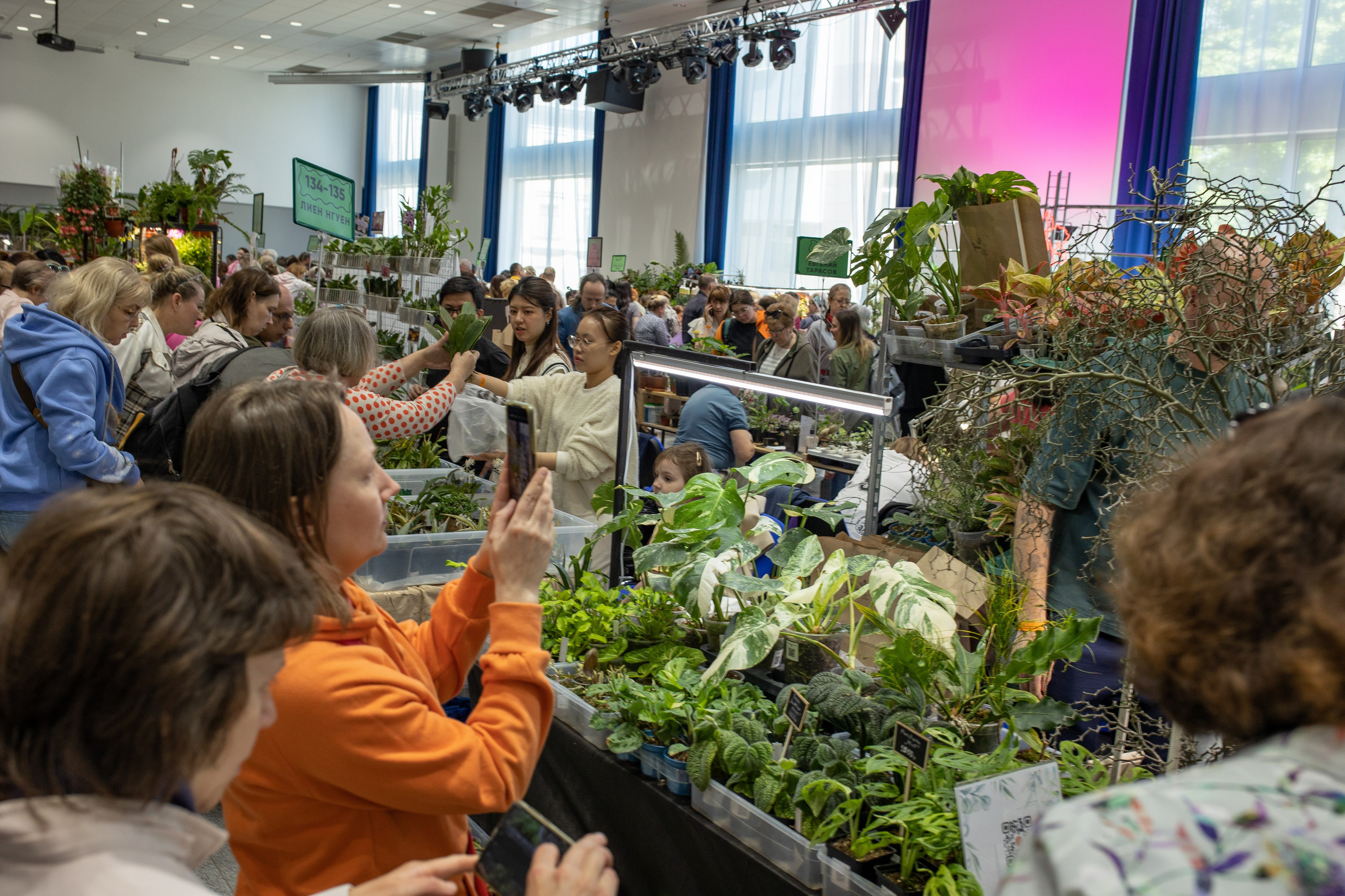 Орхидиум июнь 2024. Александра Куликова фотограф, Москва