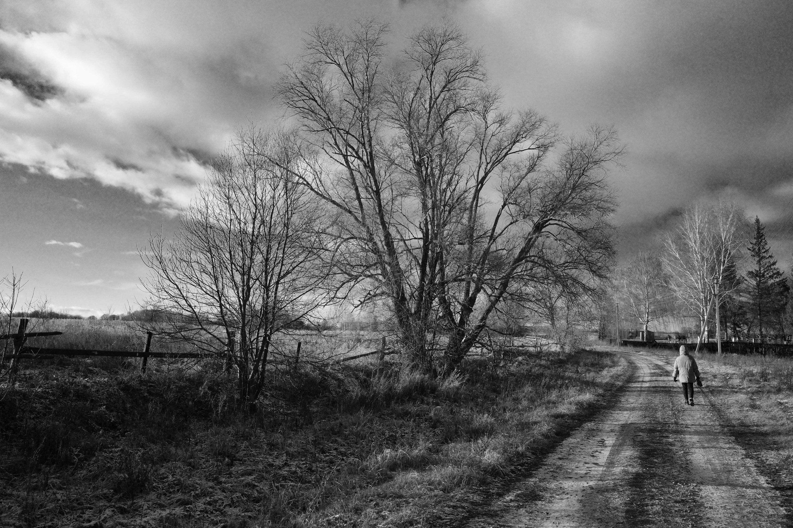 Большие Меми, Россия