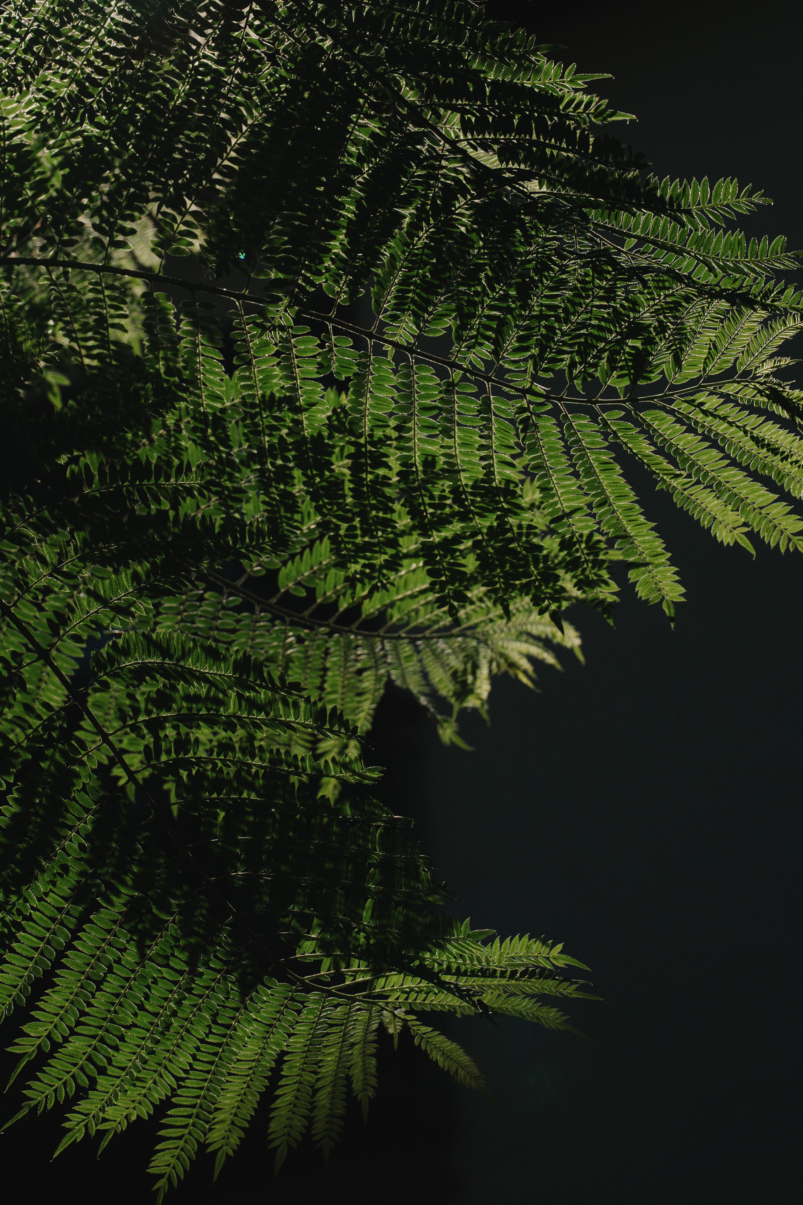 Casa Sur. Wedding & Documentary Photographer based in Nuremberg — available across Europe & Turkey | Vitalii Nasonov