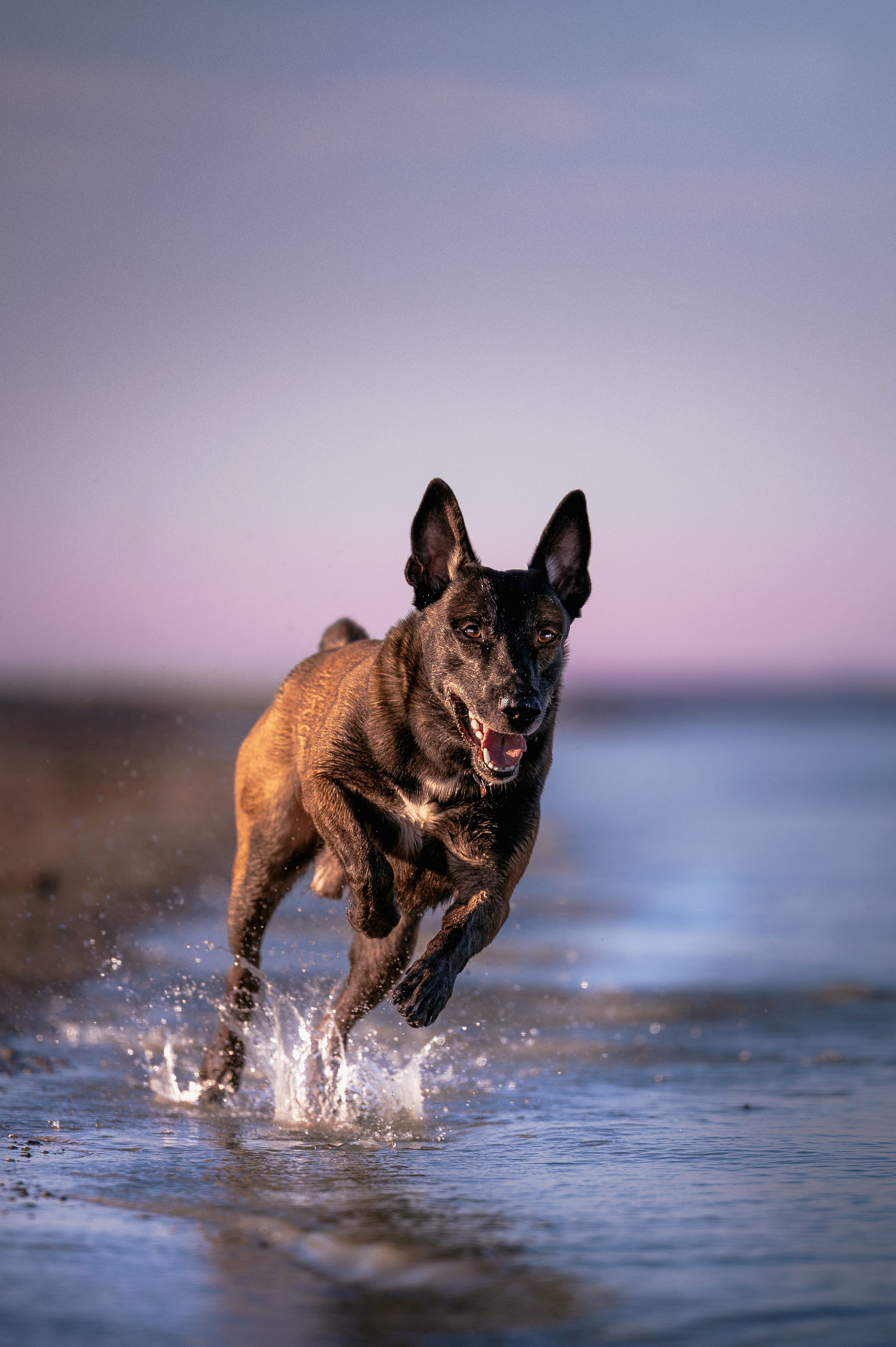 Вечер на заливе. Фотограф в Ростове —на — Дону