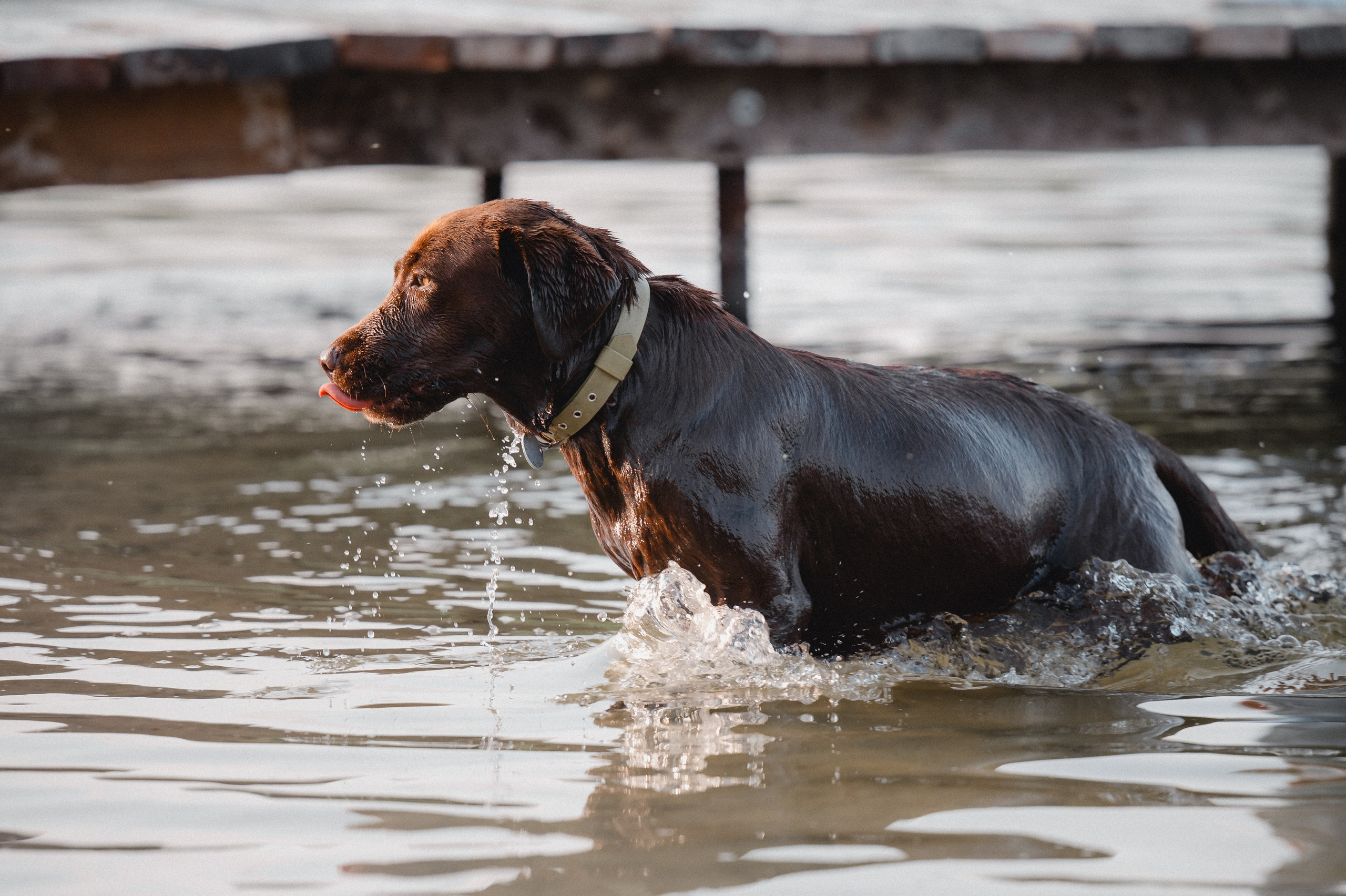 Анечка и Дэя. Фотограф в Ростове —на — Дону