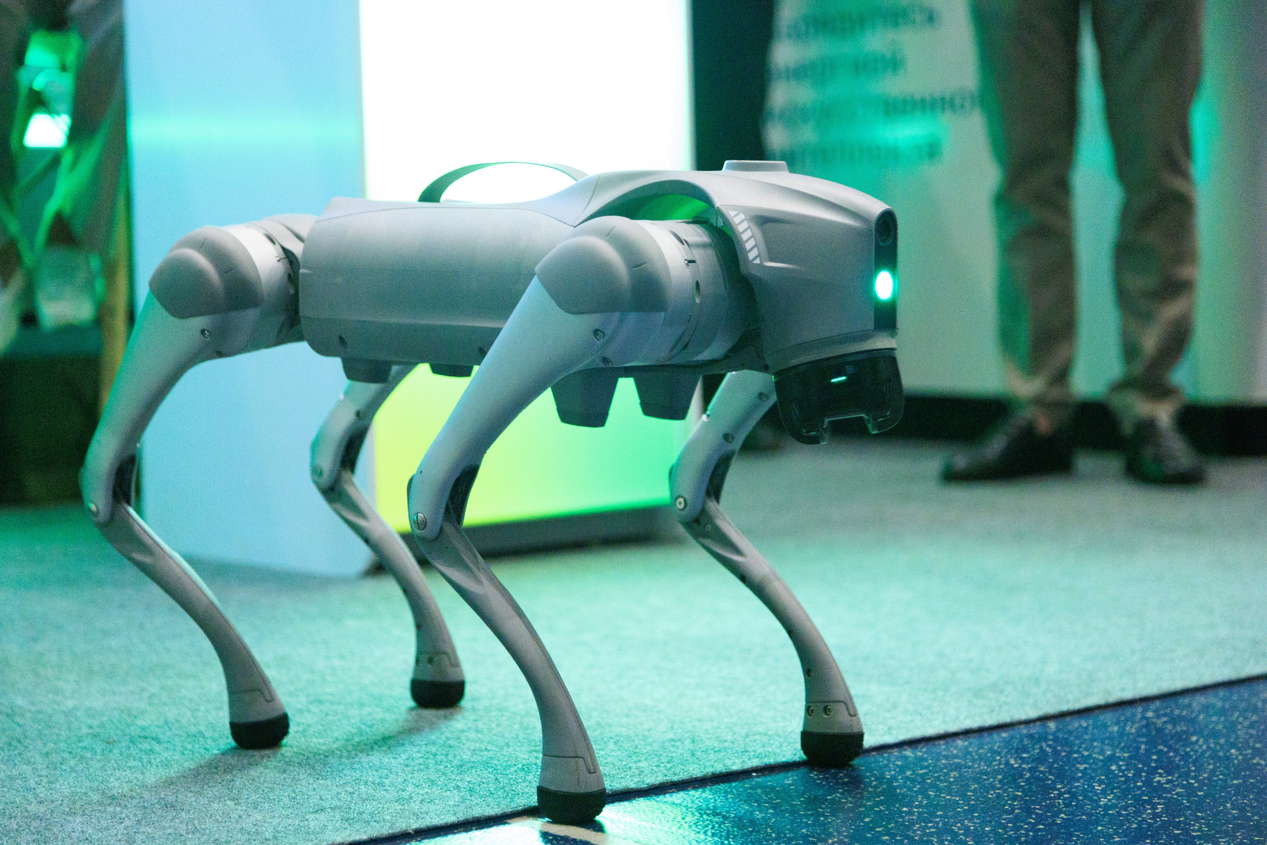 Цифроземье_2024