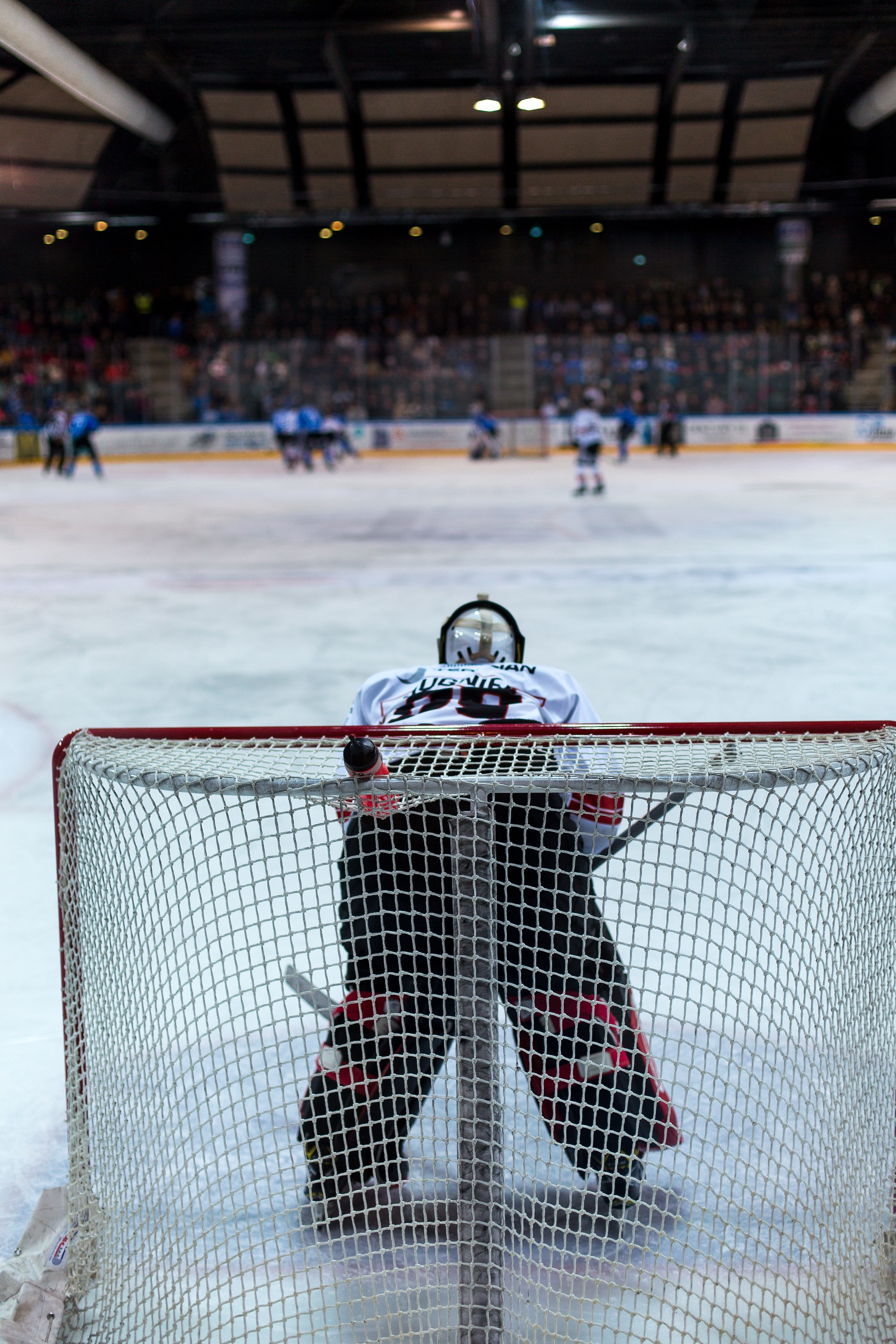 Хоккейный матч